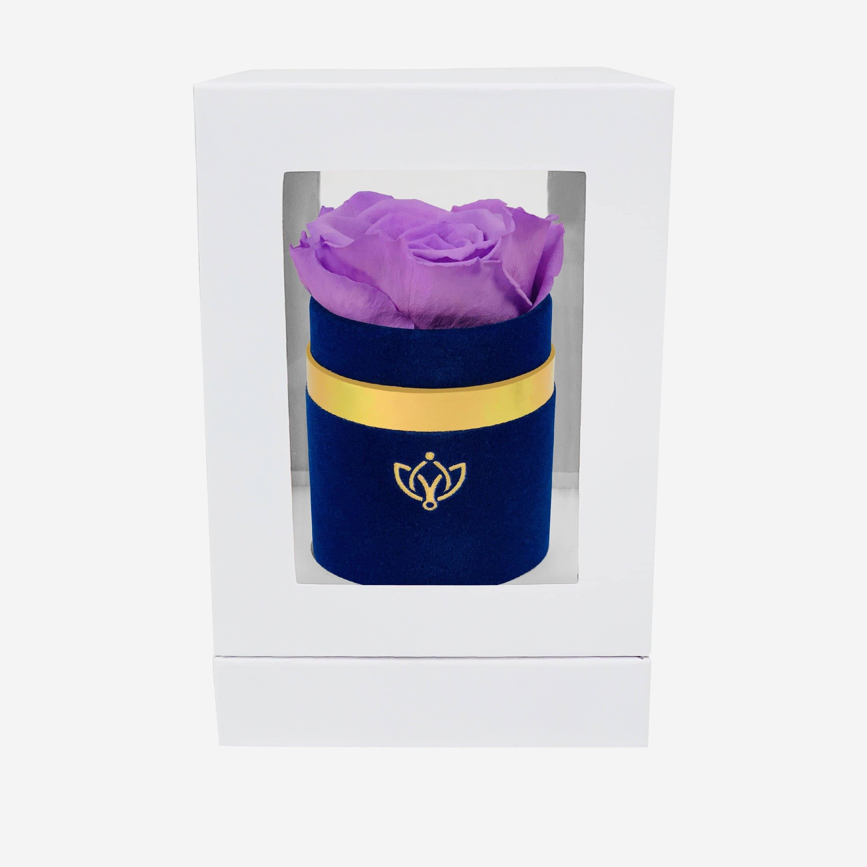 Single Royal Blue Suede Box | Lavender Rose - The Million Roses