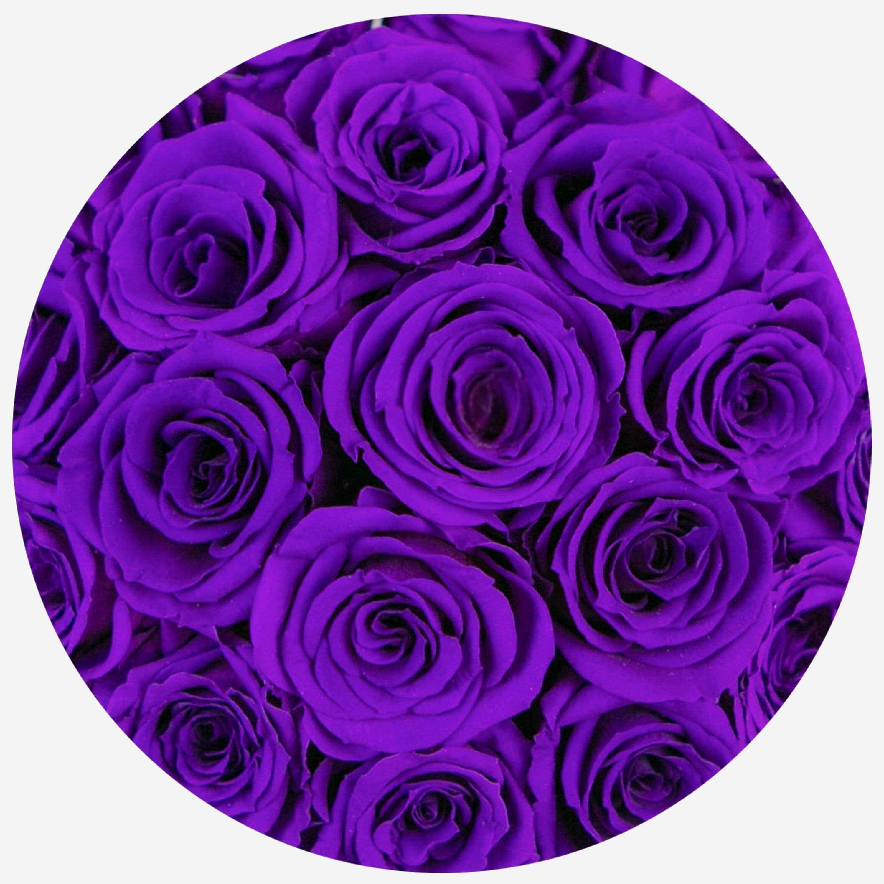 Basic Gold Box | Bright Purple Roses - The Million Roses