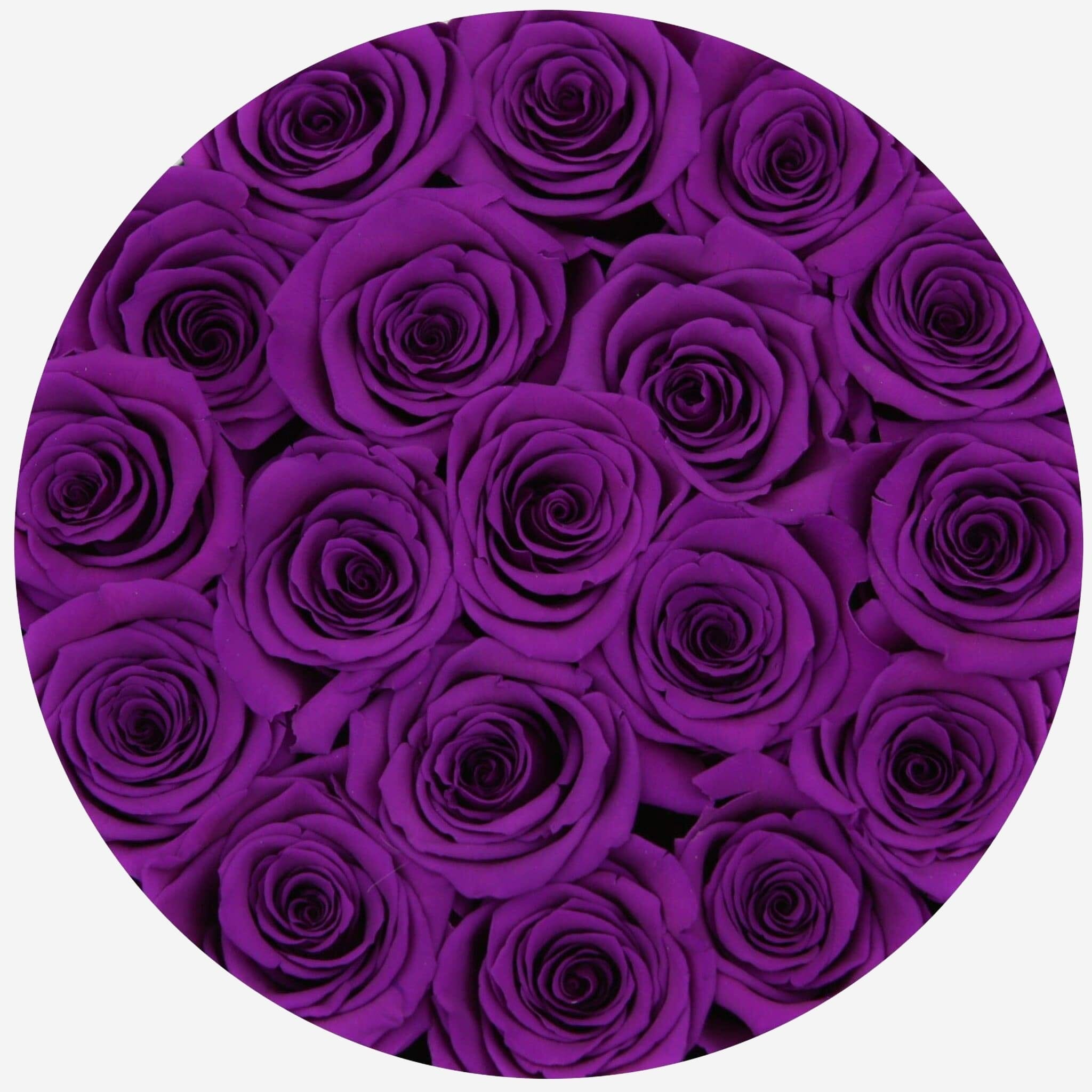 Classic Black Box | Bright Purple Roses - The Million Roses