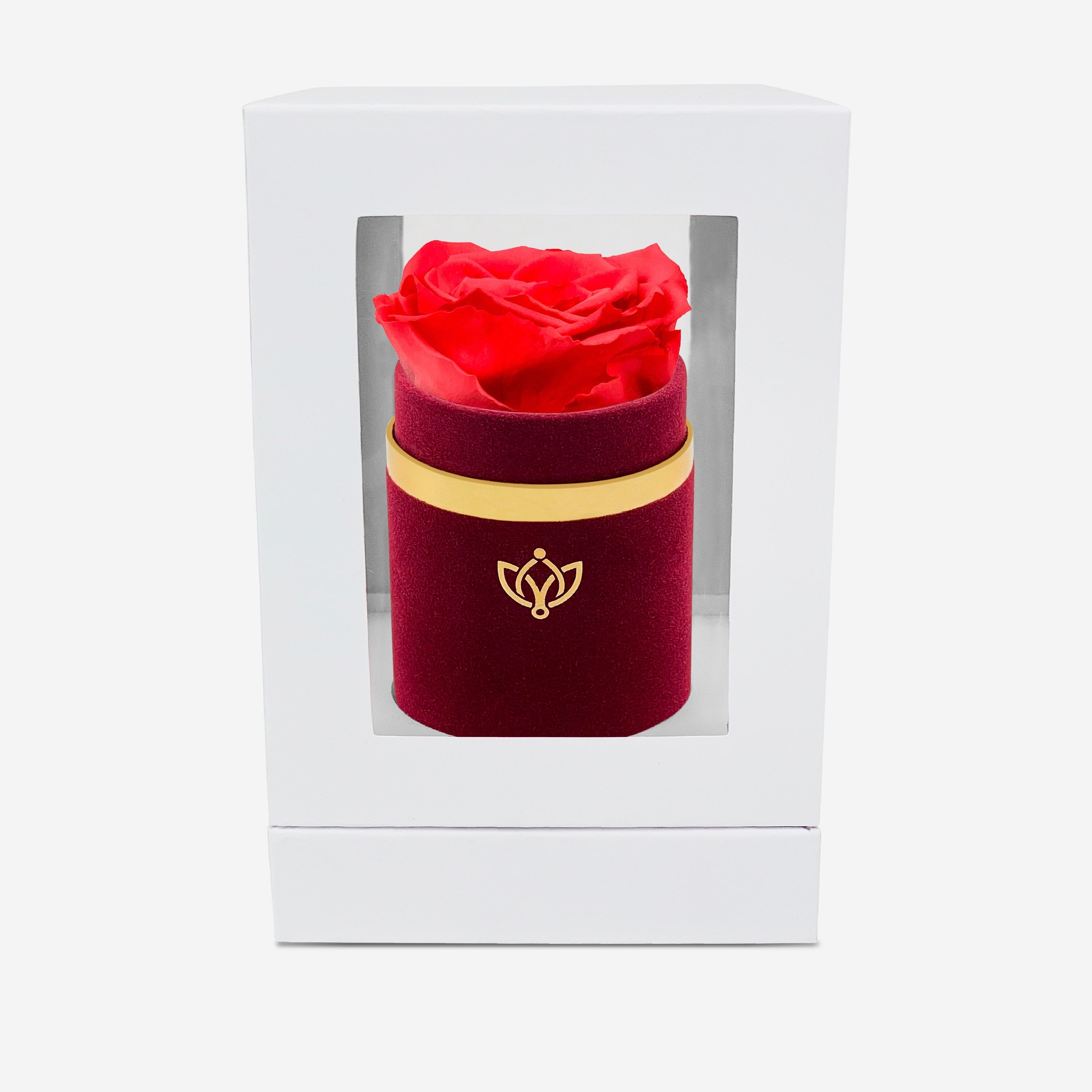 Single Bordeaux Suede Box | Coral Rose - The Million Roses