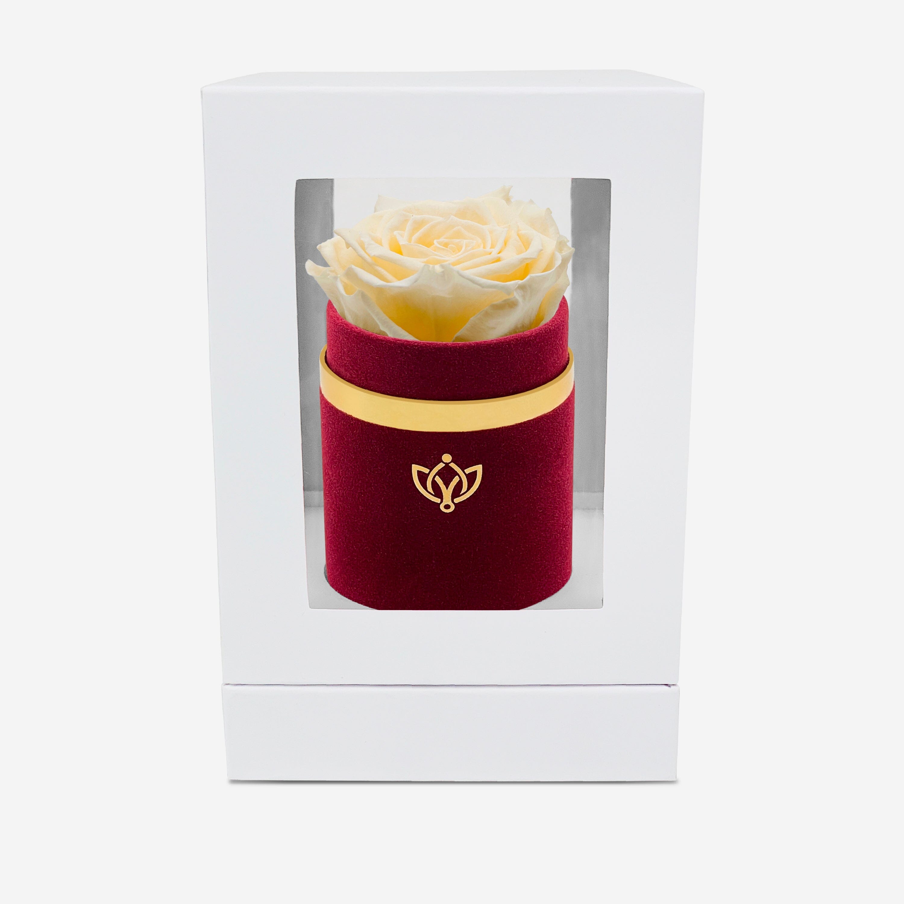 Single Bordeaux Suede Box | Ivory Rose - The Million Roses