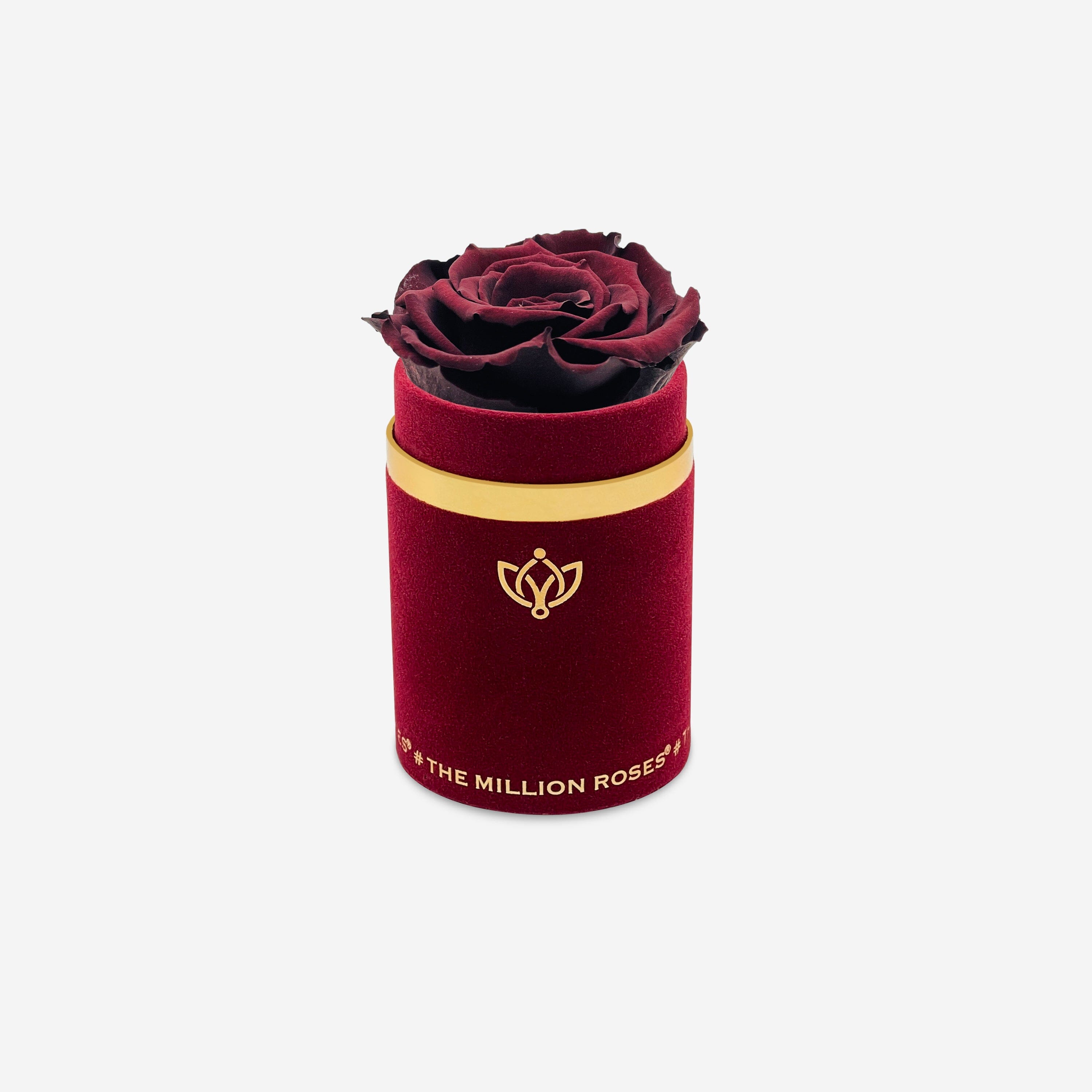 Single Bordeaux Suede Box | Mahogany Rose - The Million Roses