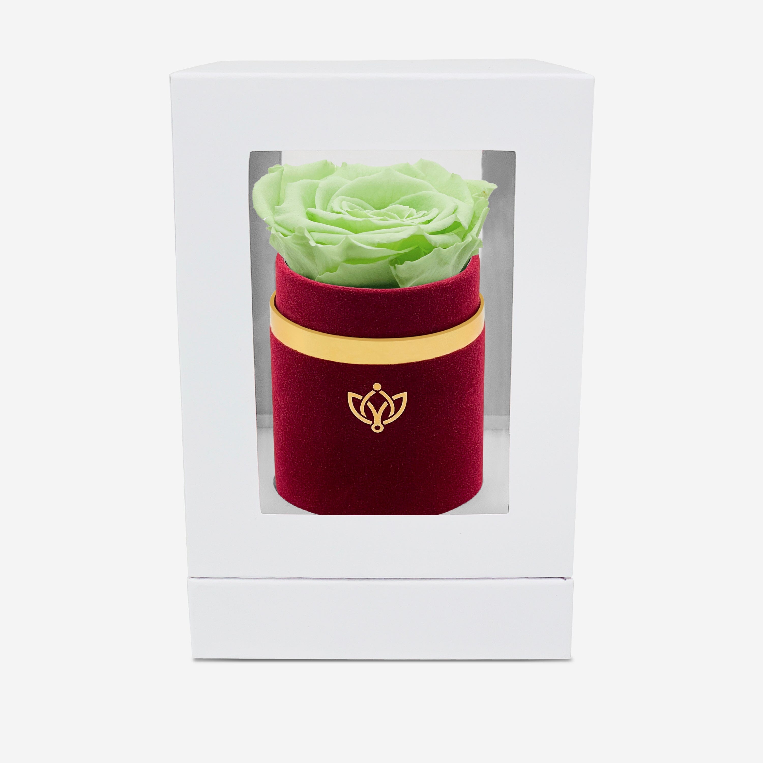 Single Bordeaux Suede Box | Mint Green Rose - The Million Roses