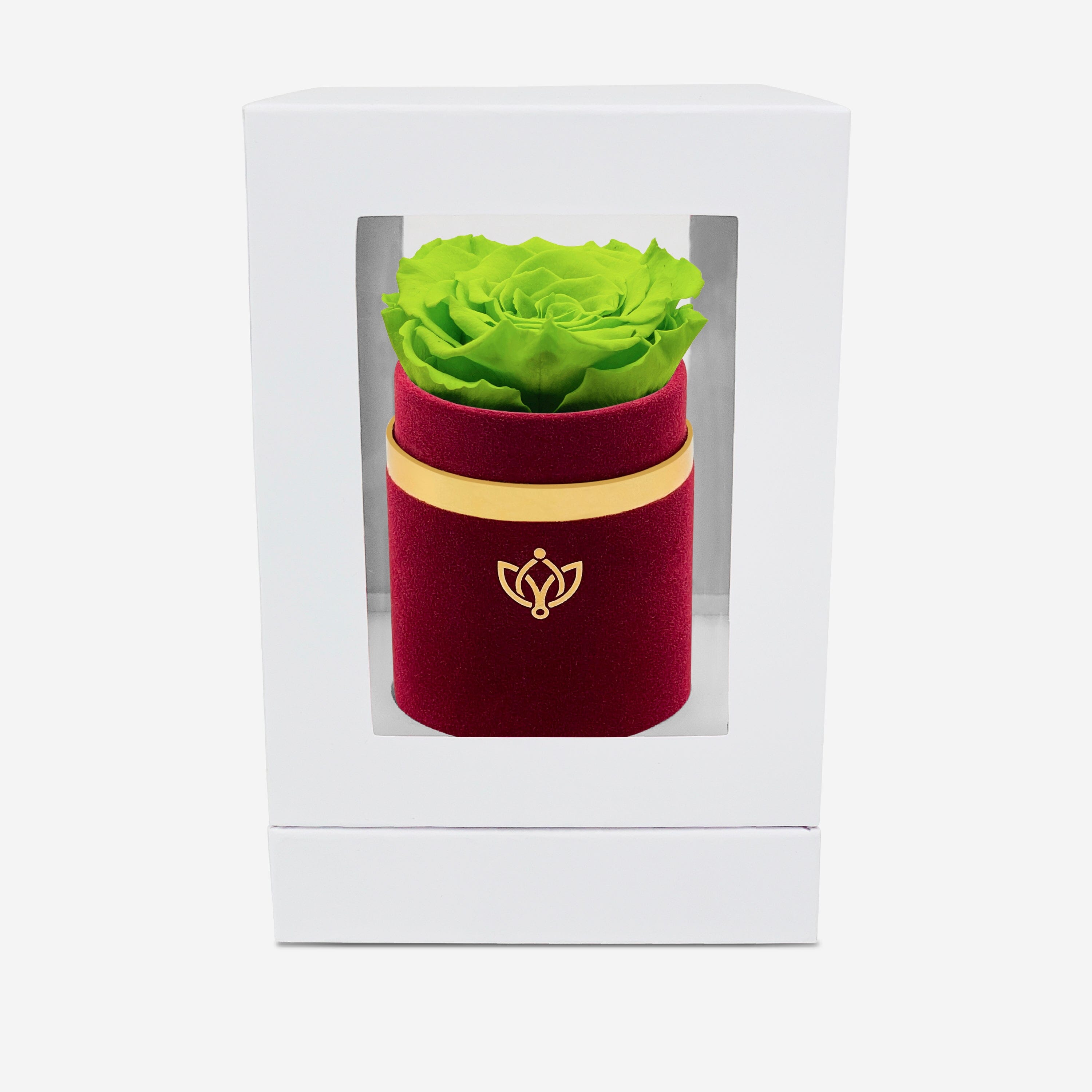 Single Bordeaux Suede Box | Light Green Rose - The Million Roses