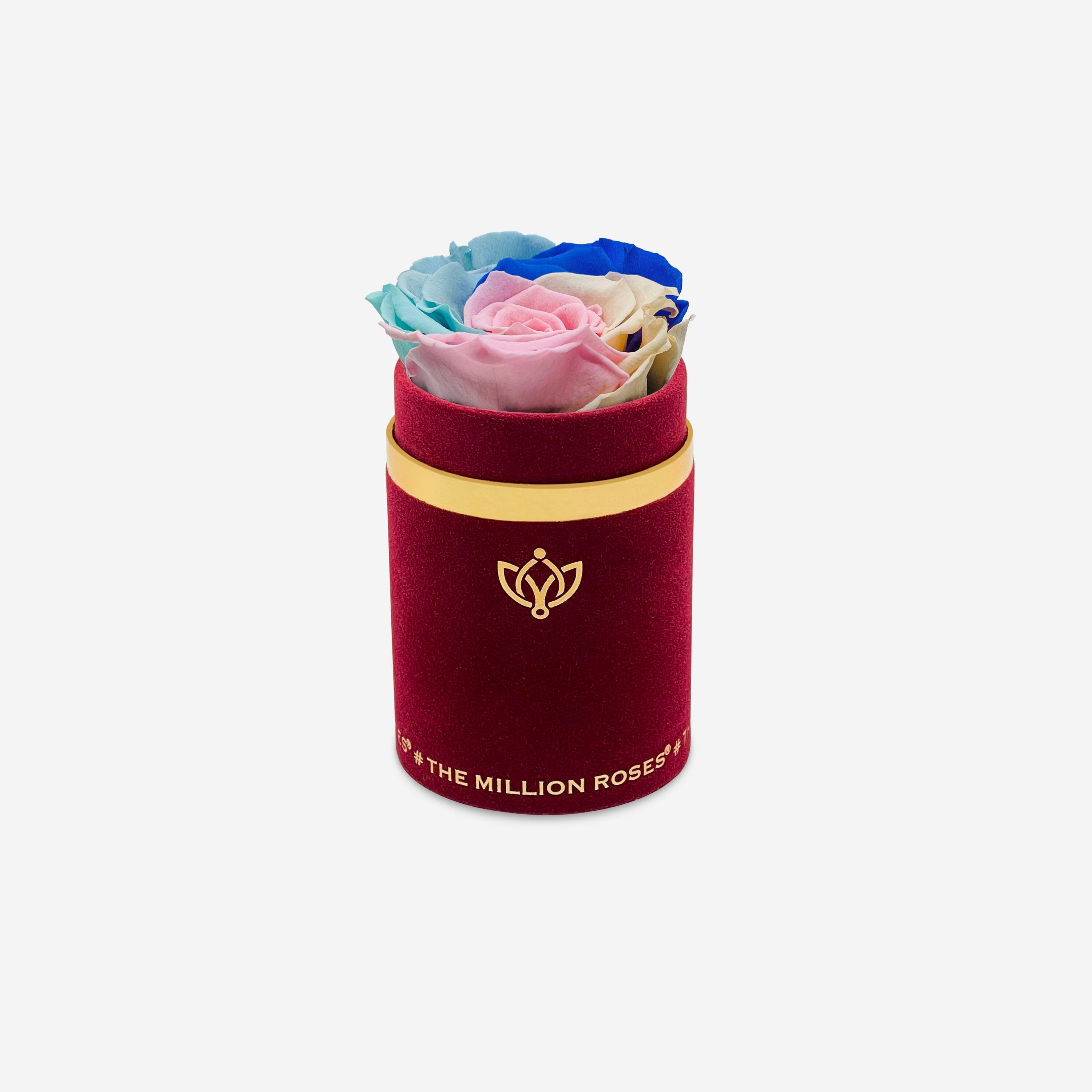 Single Bordeaux Suede Box | Pastel Rainbow Rose - The Million Roses