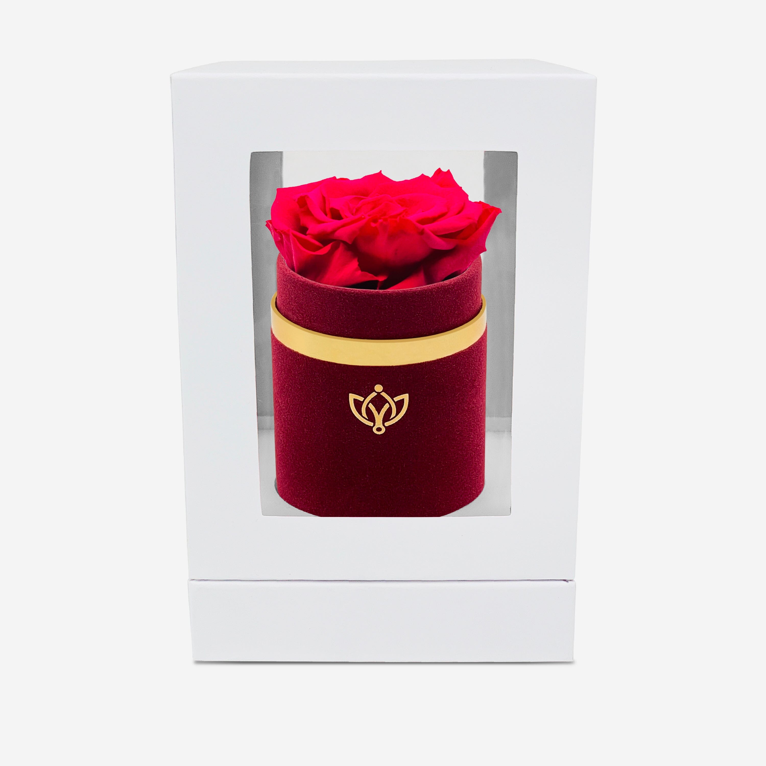 Single Bordeaux Suede Box | Hot Pink Rose - The Million Roses