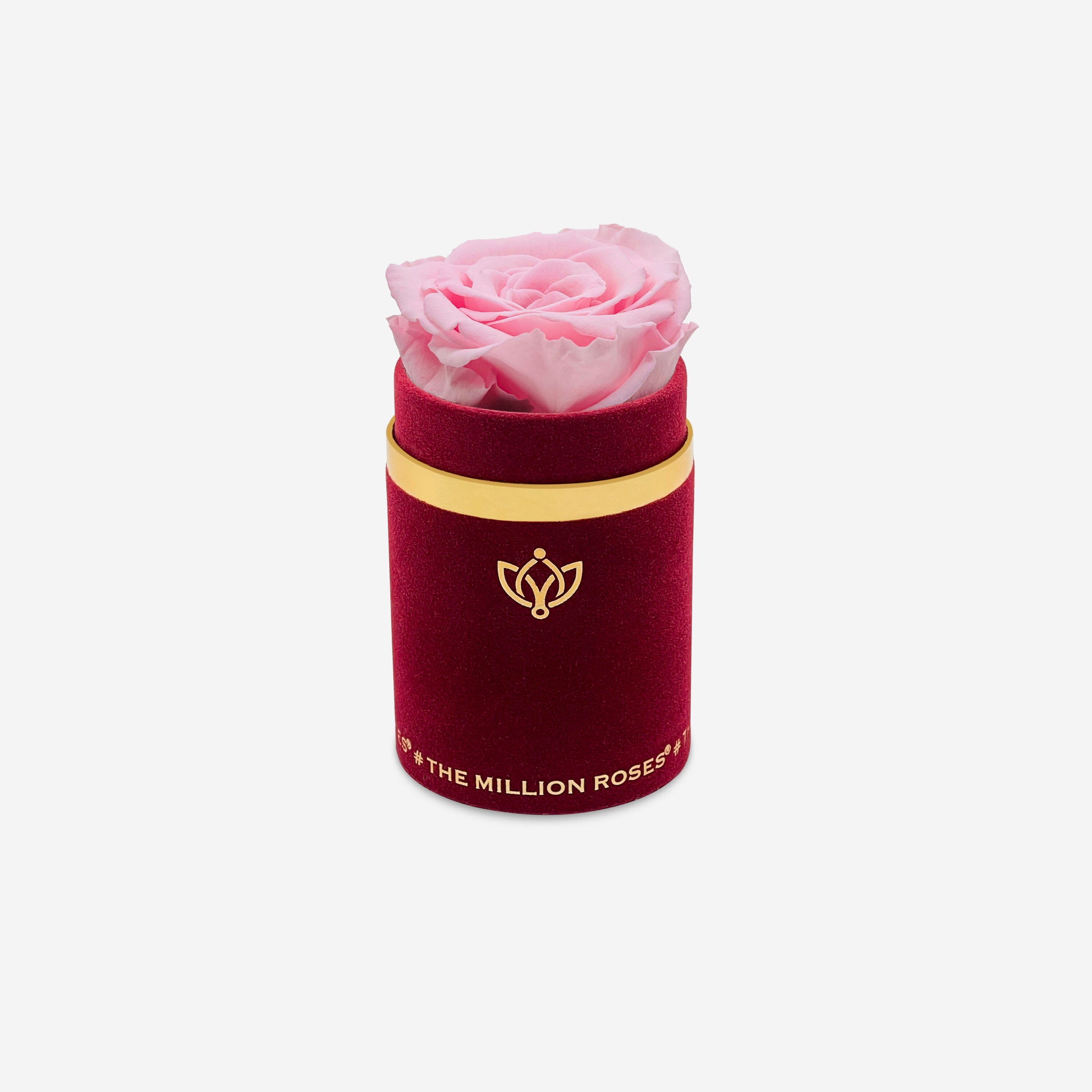 Single Bordeaux Suede Box | Light Pink Rose - The Million Roses