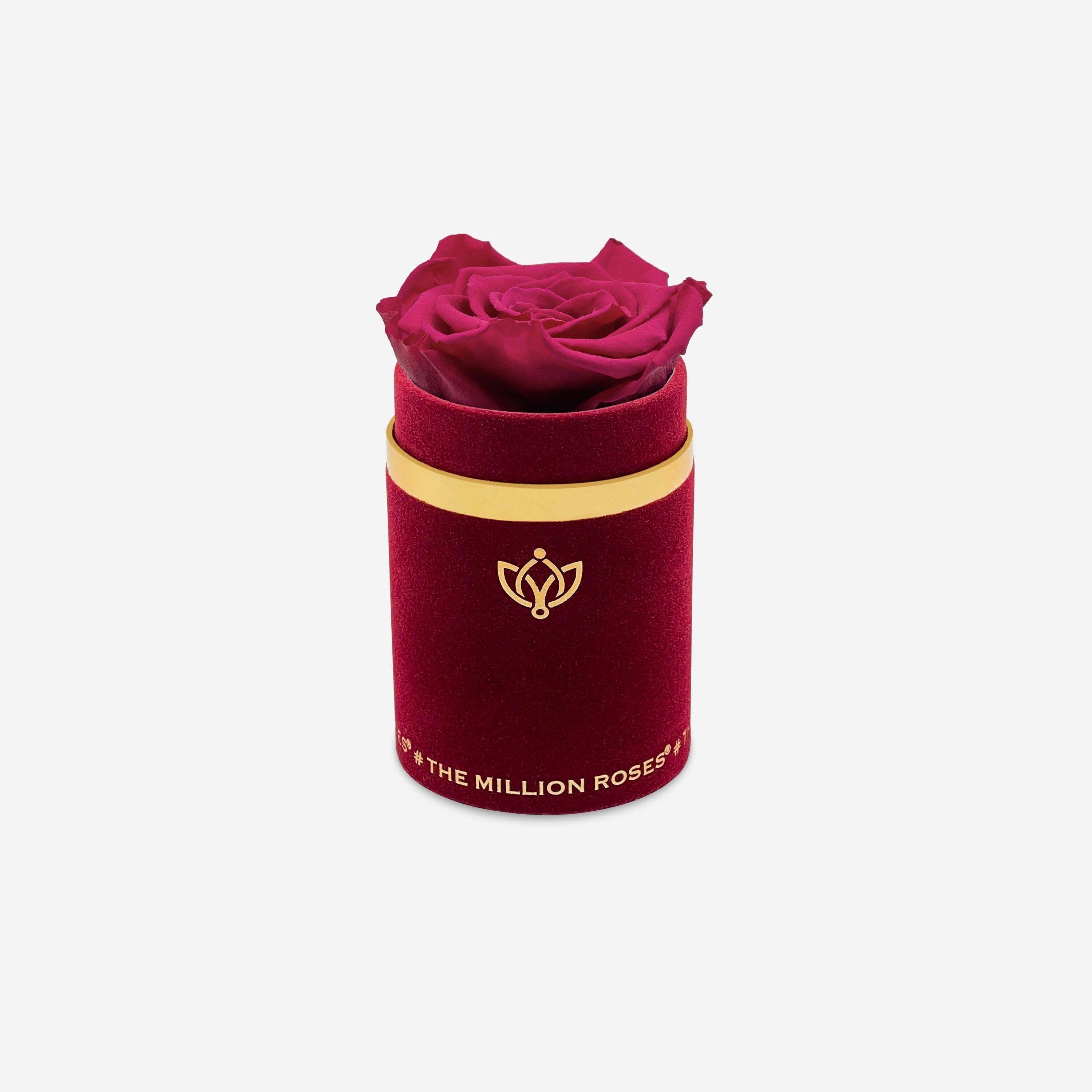 Single Bordeaux Suede Box | Magenta Rose - The Million Roses