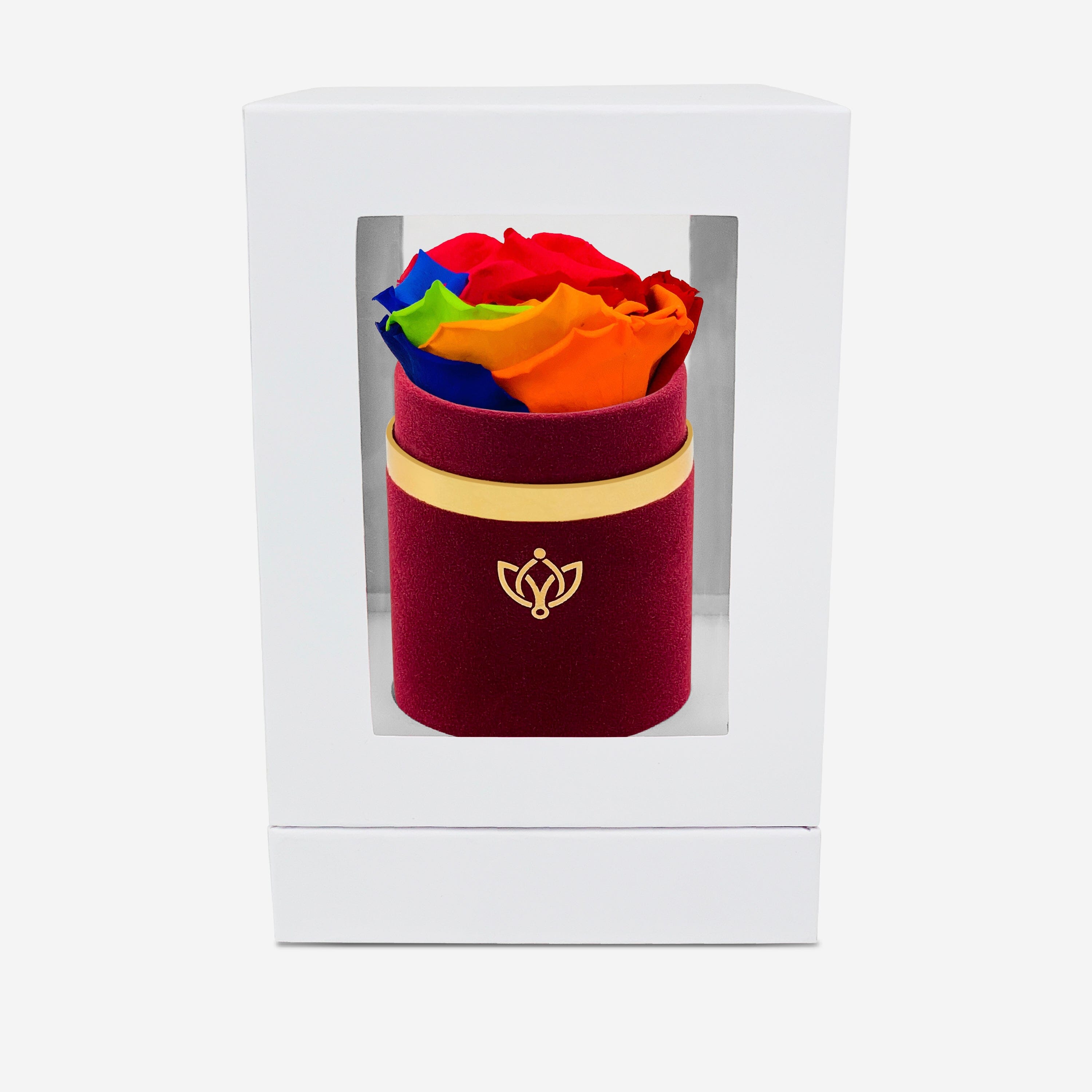 Single Bordeaux Suede Box | Rainbow Rose - The Million Roses