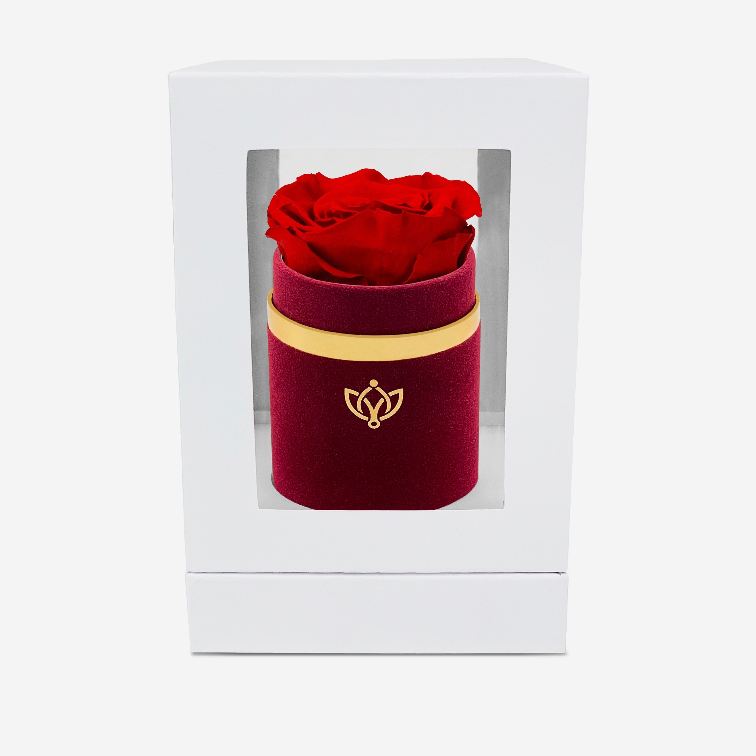 Single Bordeaux Suede Box | Red Rose - The Million Roses