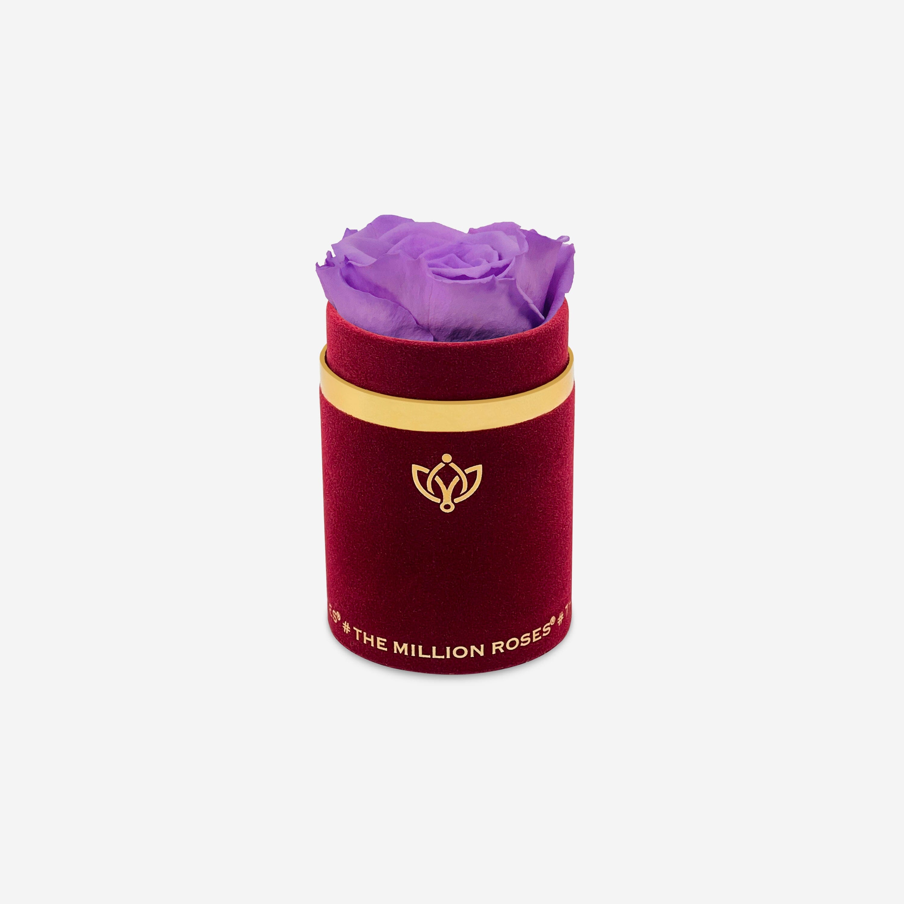 Single Bordeaux Suede Box | Lavender Rose - The Million Roses