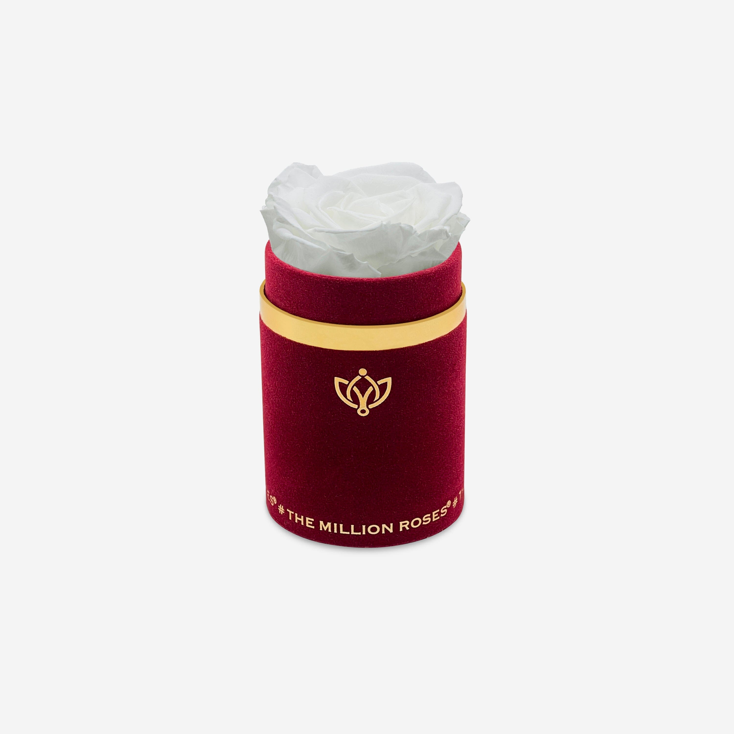 Single Bordeaux Suede Box | White Rose - The Million Roses