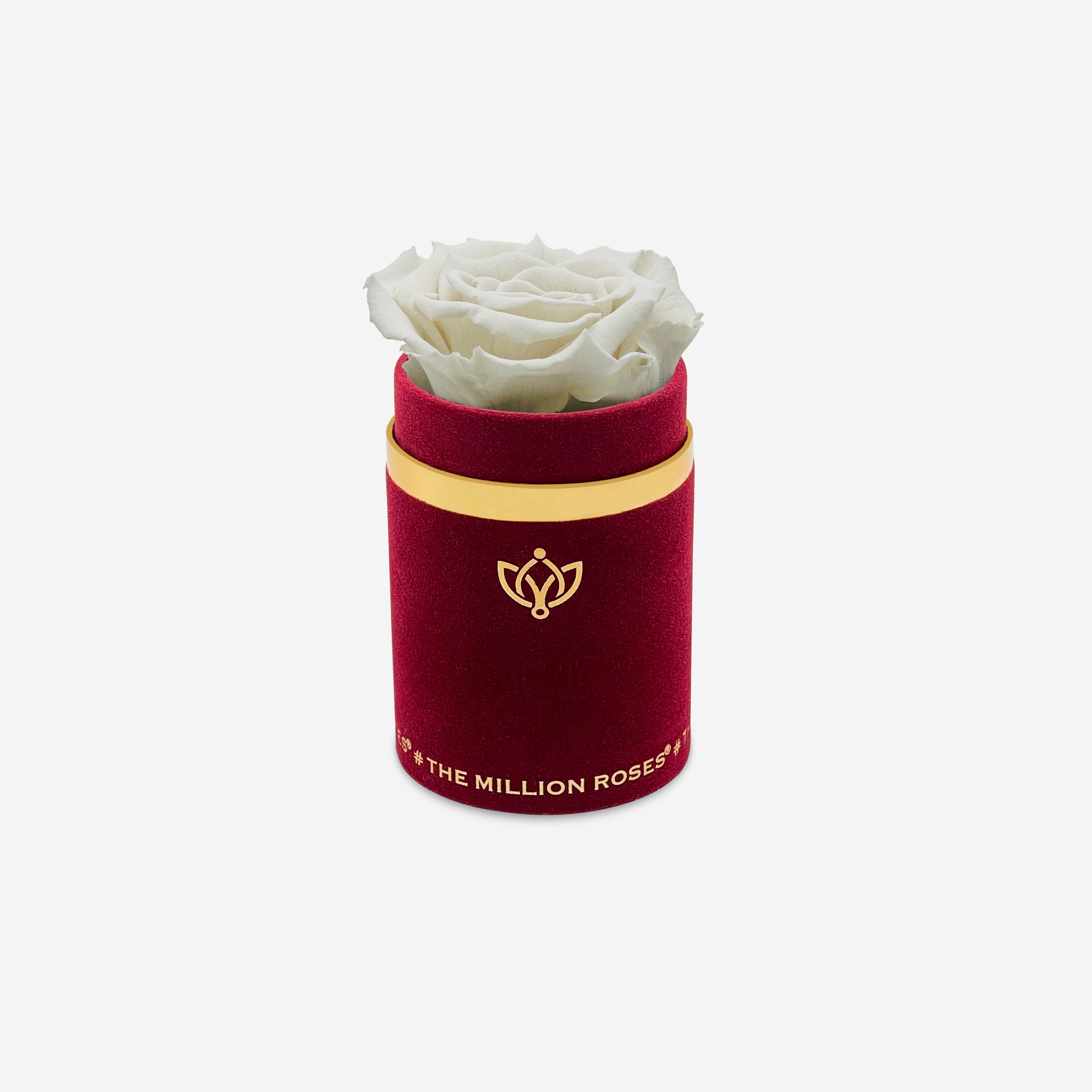 Single Bordeaux Suede Box | Off White Rose - The Million Roses