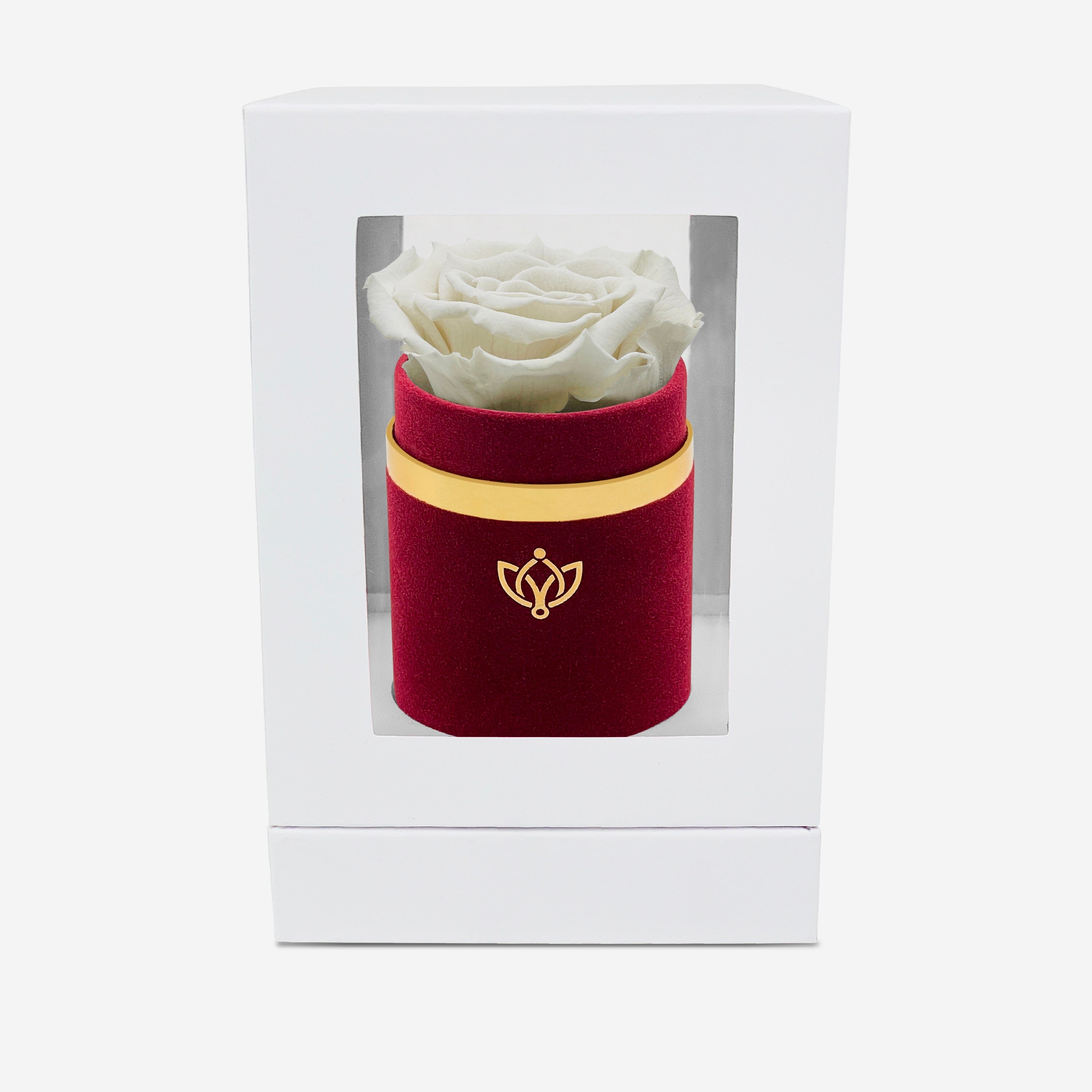 Single Bordeaux Suede Box | Off White Rose - The Million Roses