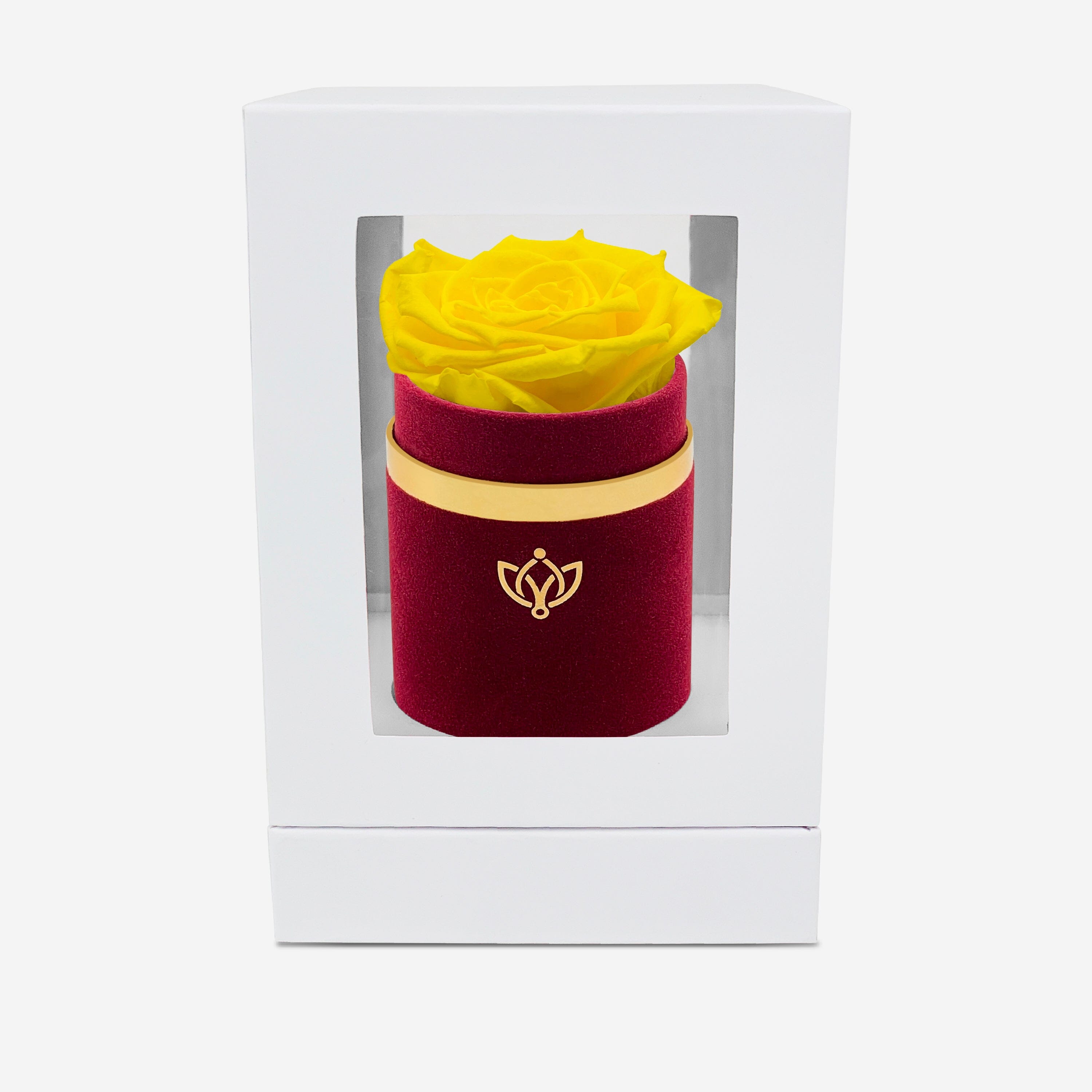 Single Bordeaux Suede Box | Yellow Rose - The Million Roses