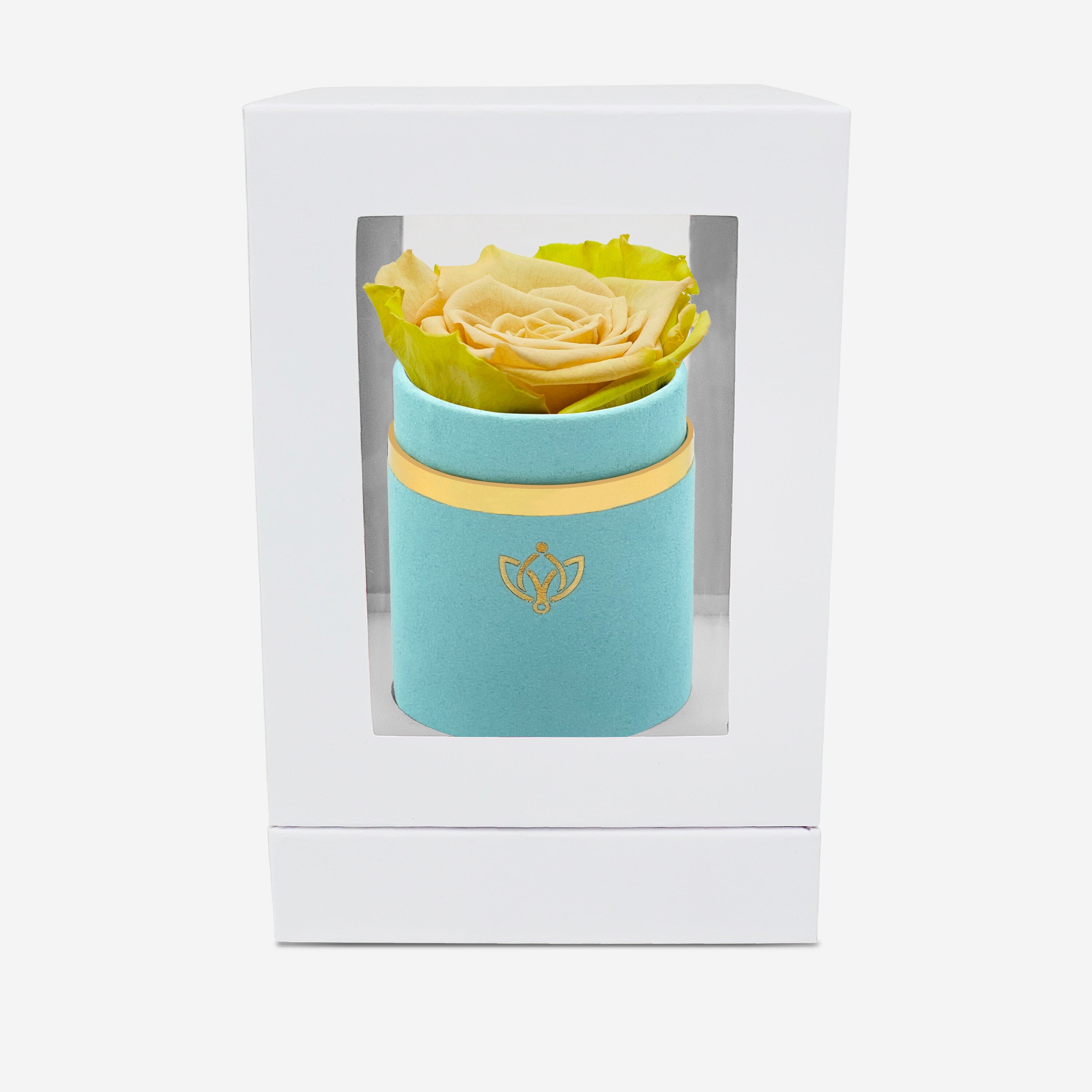 Single Mint Green Suede Box | Fawn Bicolor Rose - The Million Roses