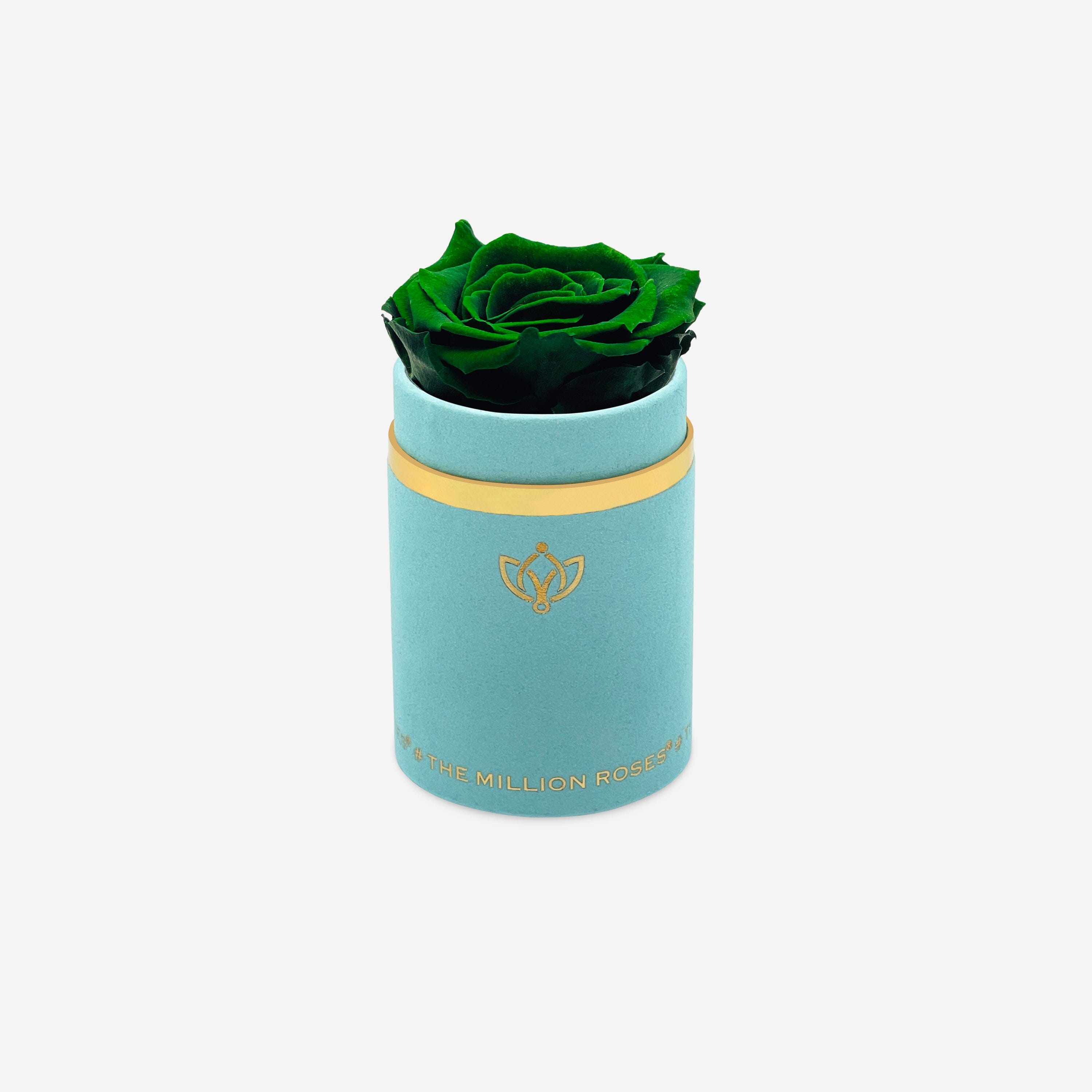 Single Mint Green Suede Box | Dark Green Rose - The Million Roses