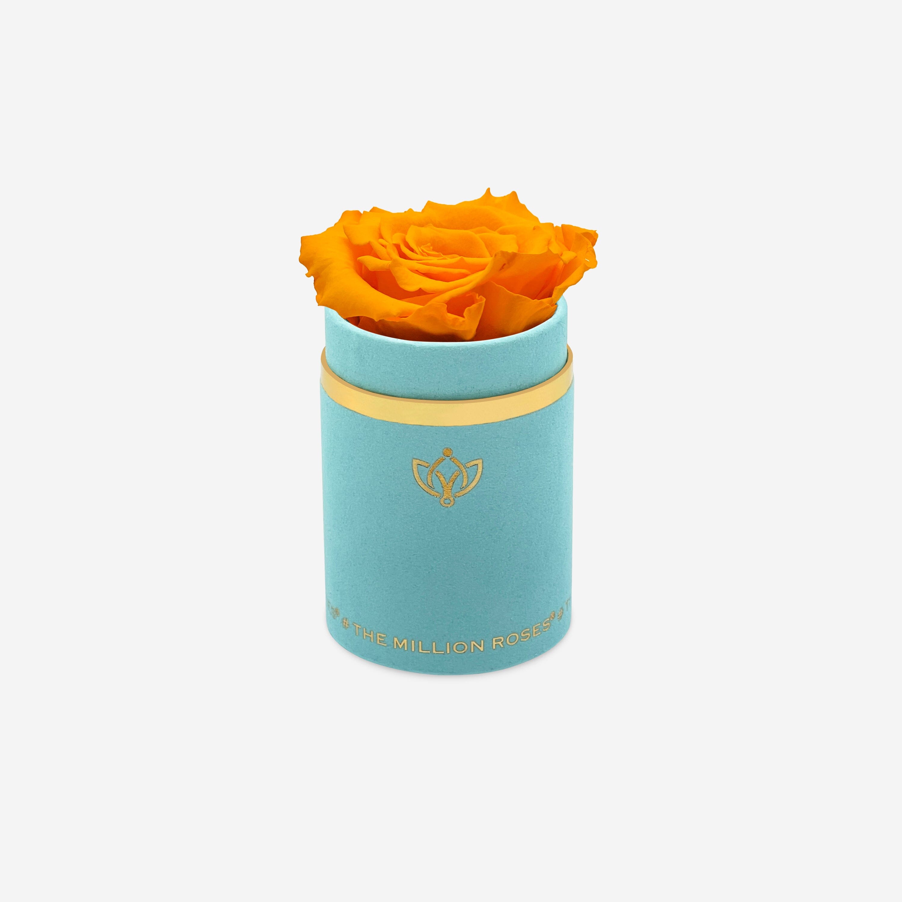 Single Mint Green Suede Box | Orange Rose - The Million Roses