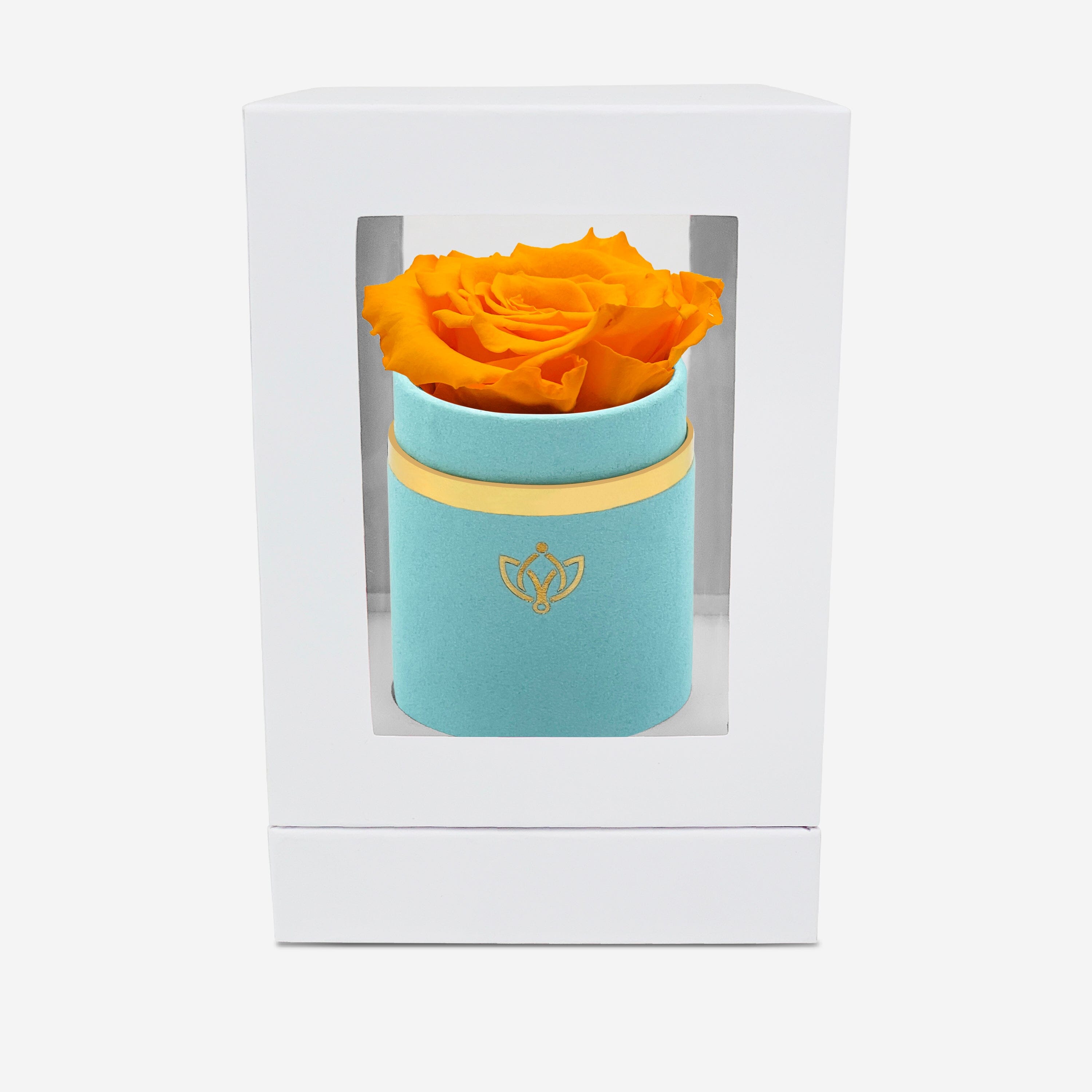 Single Mint Green Suede Box | Orange Rose - The Million Roses