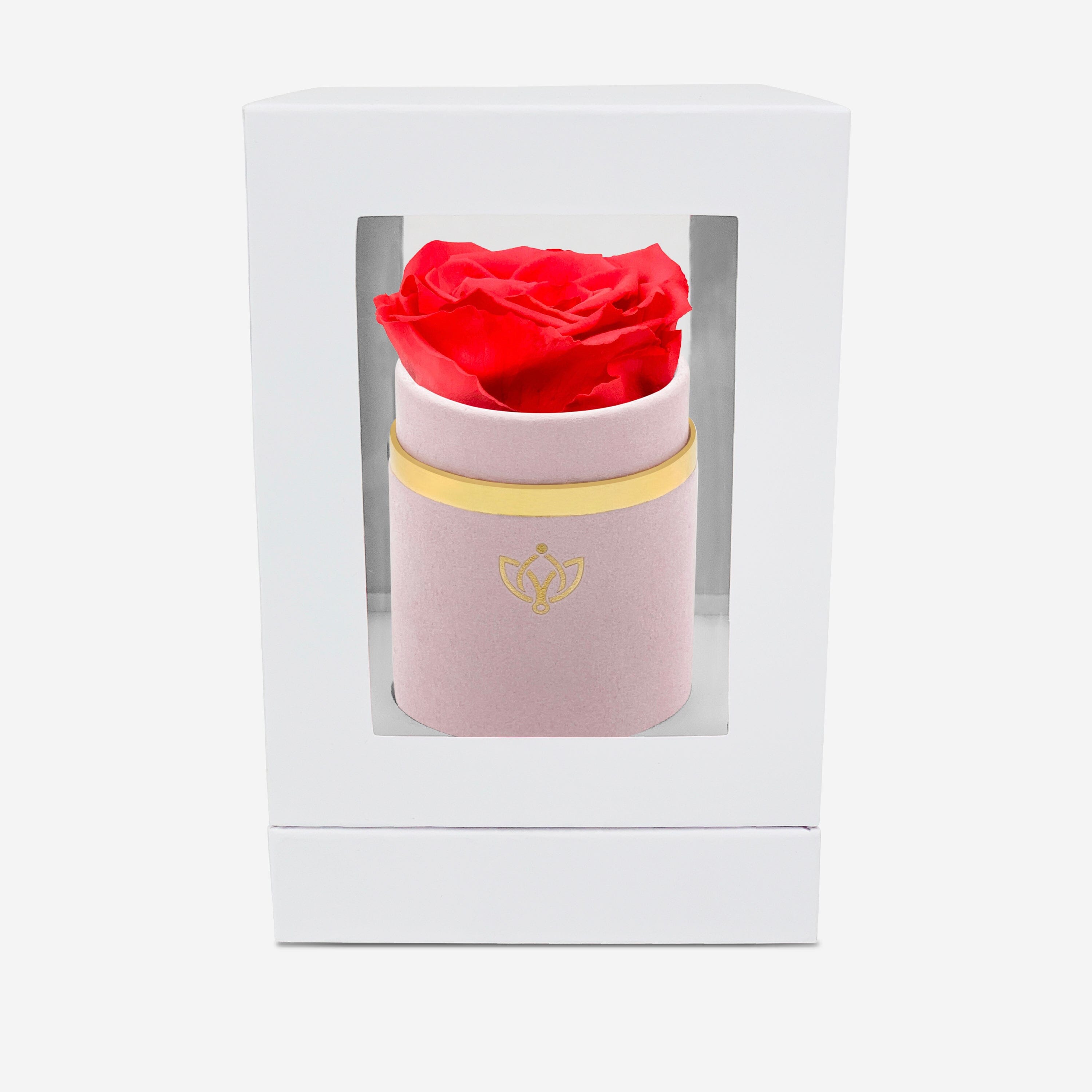 Single Light Pink Suede Box | Coral Rose - The Million Roses