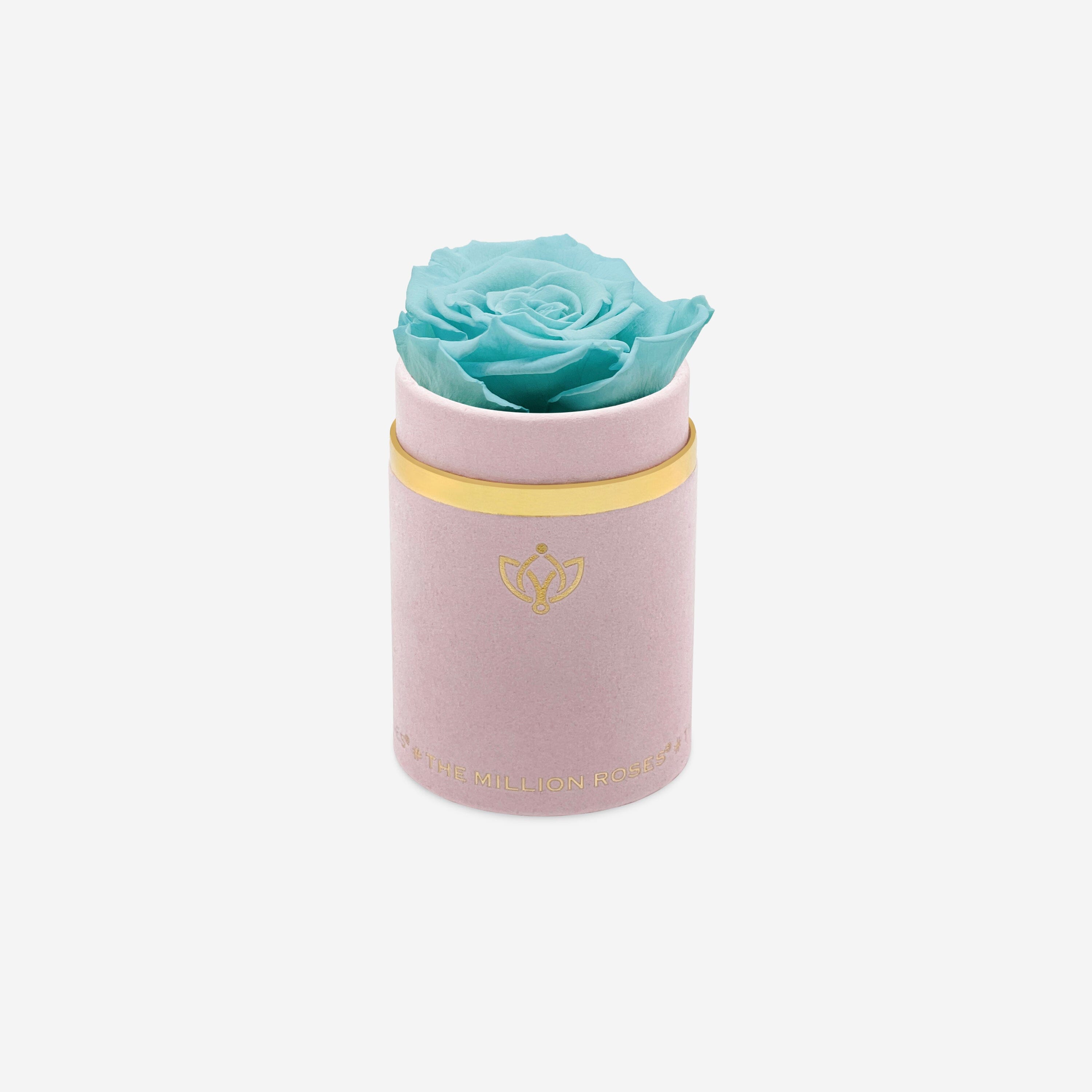 Single Light Pink Suede Box | Turquoise Rose - The Million Roses