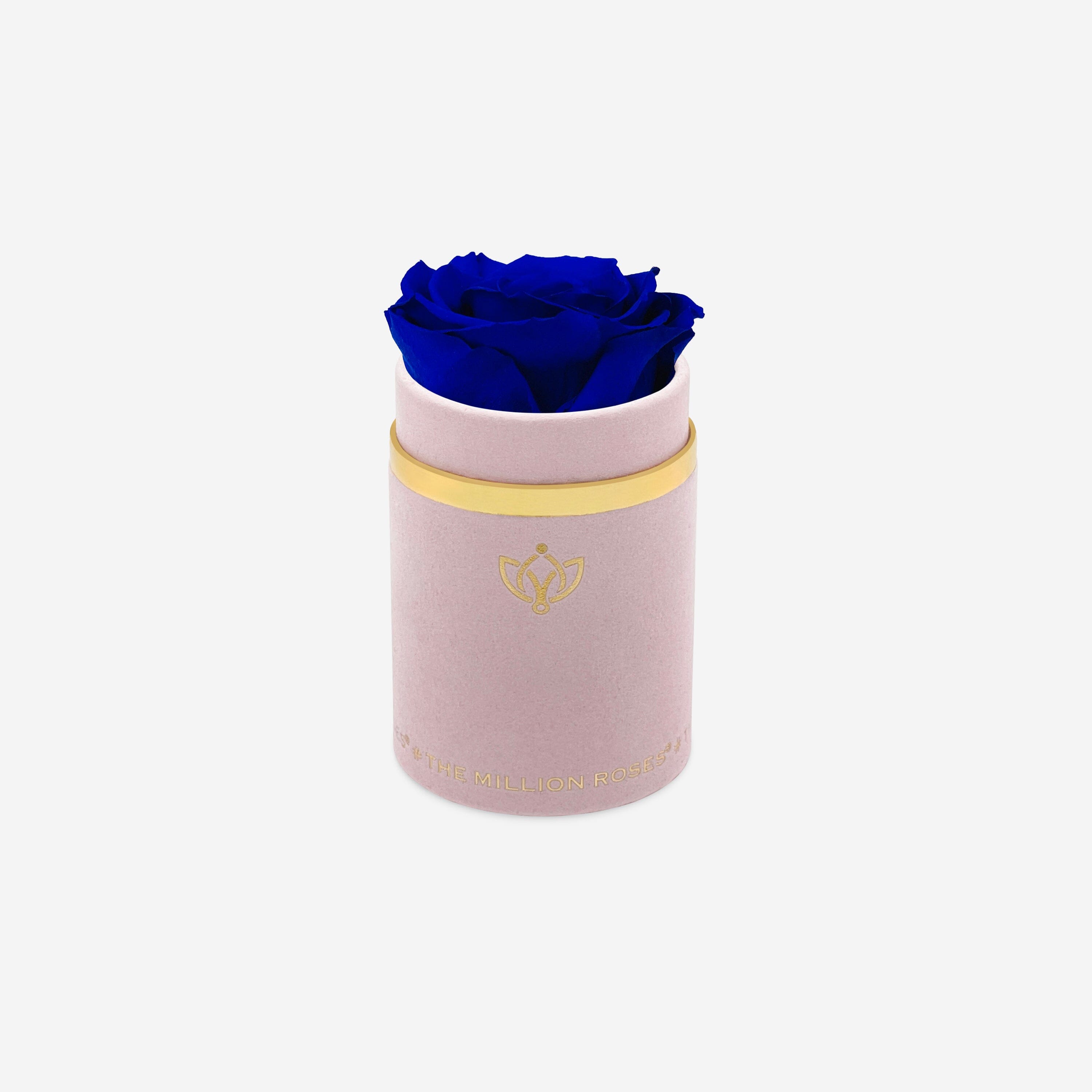 Single Light Pink Suede Box | Royal Blue Rose - The Million Roses