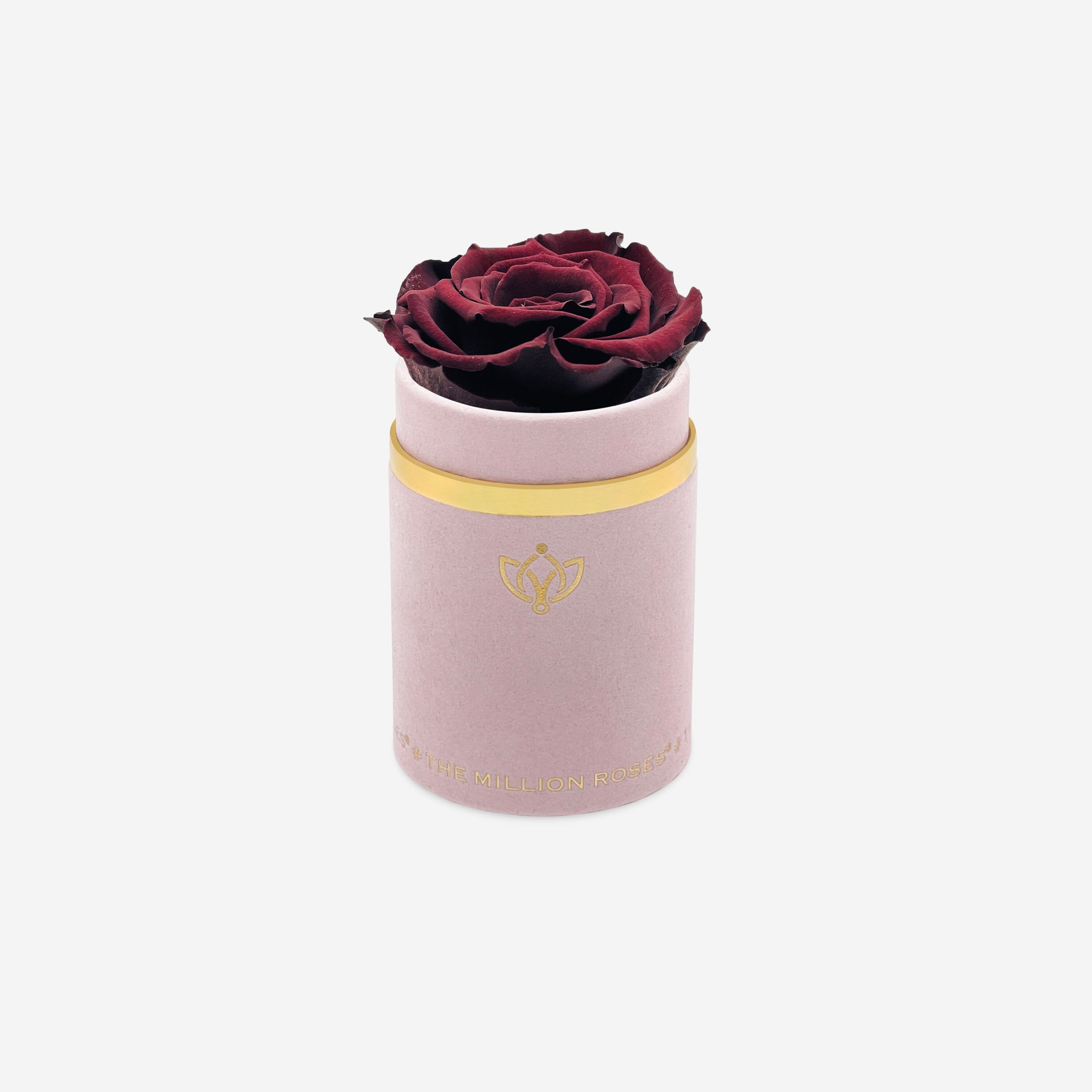 Single Light Pink Suede Box | Mahogany Rose - The Million Roses