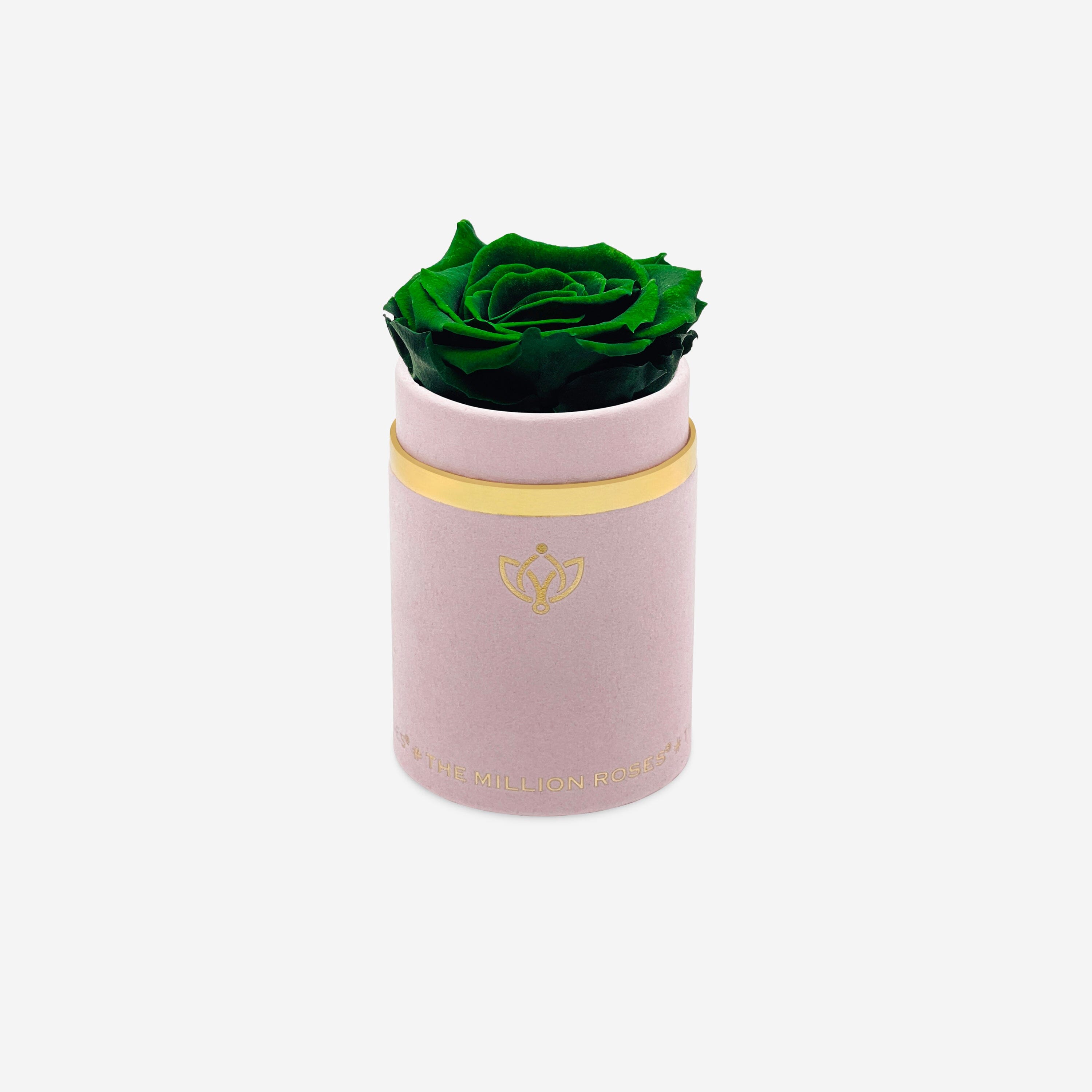 Single Light Pink Suede Box | Dark Green Rose - The Million Roses