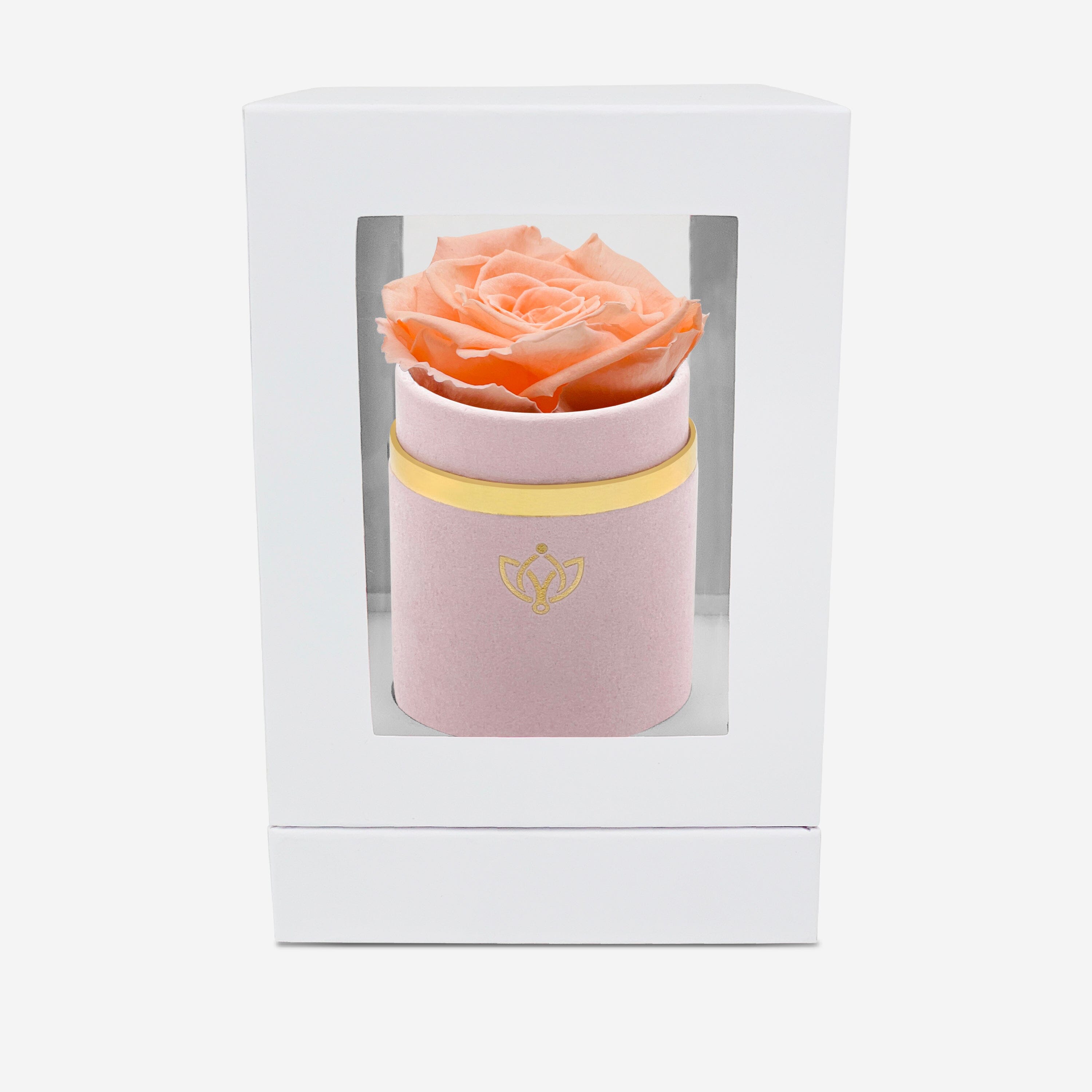 Single Light Pink Suede Box | Peach Rose - The Million Roses