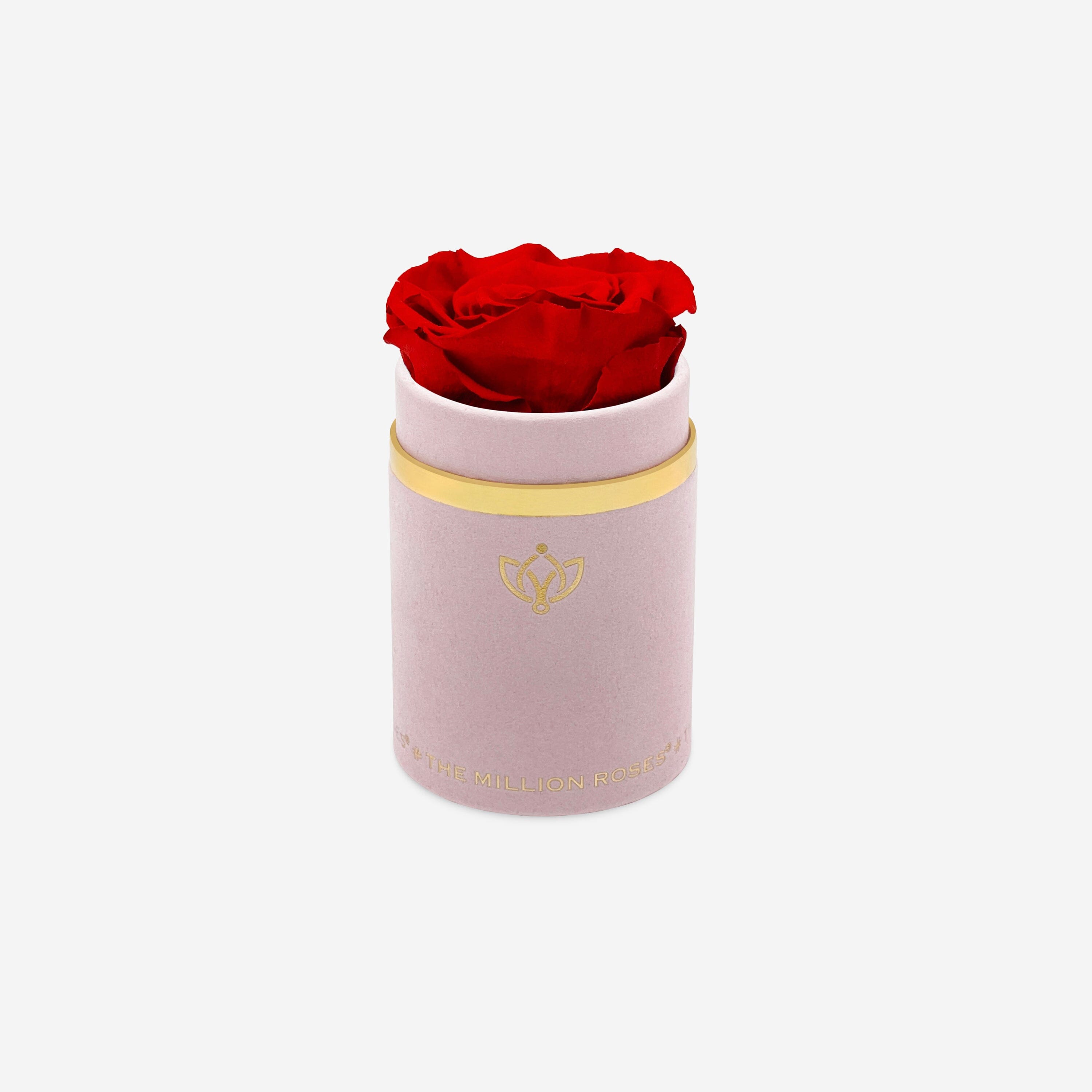 Single Light Pink Suede Box | Red Rose - The Million Roses