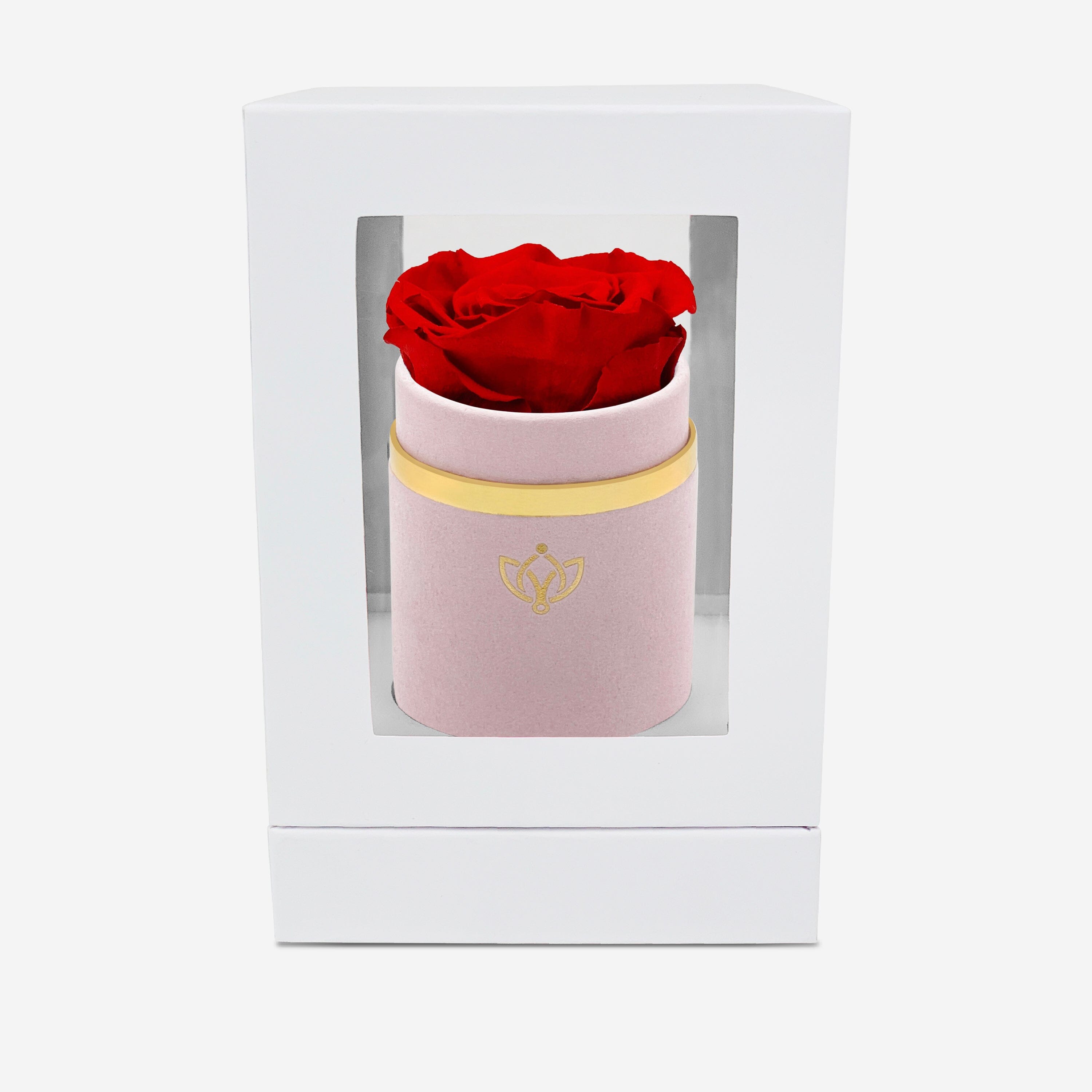 Single Light Pink Suede Box | Red Rose - The Million Roses