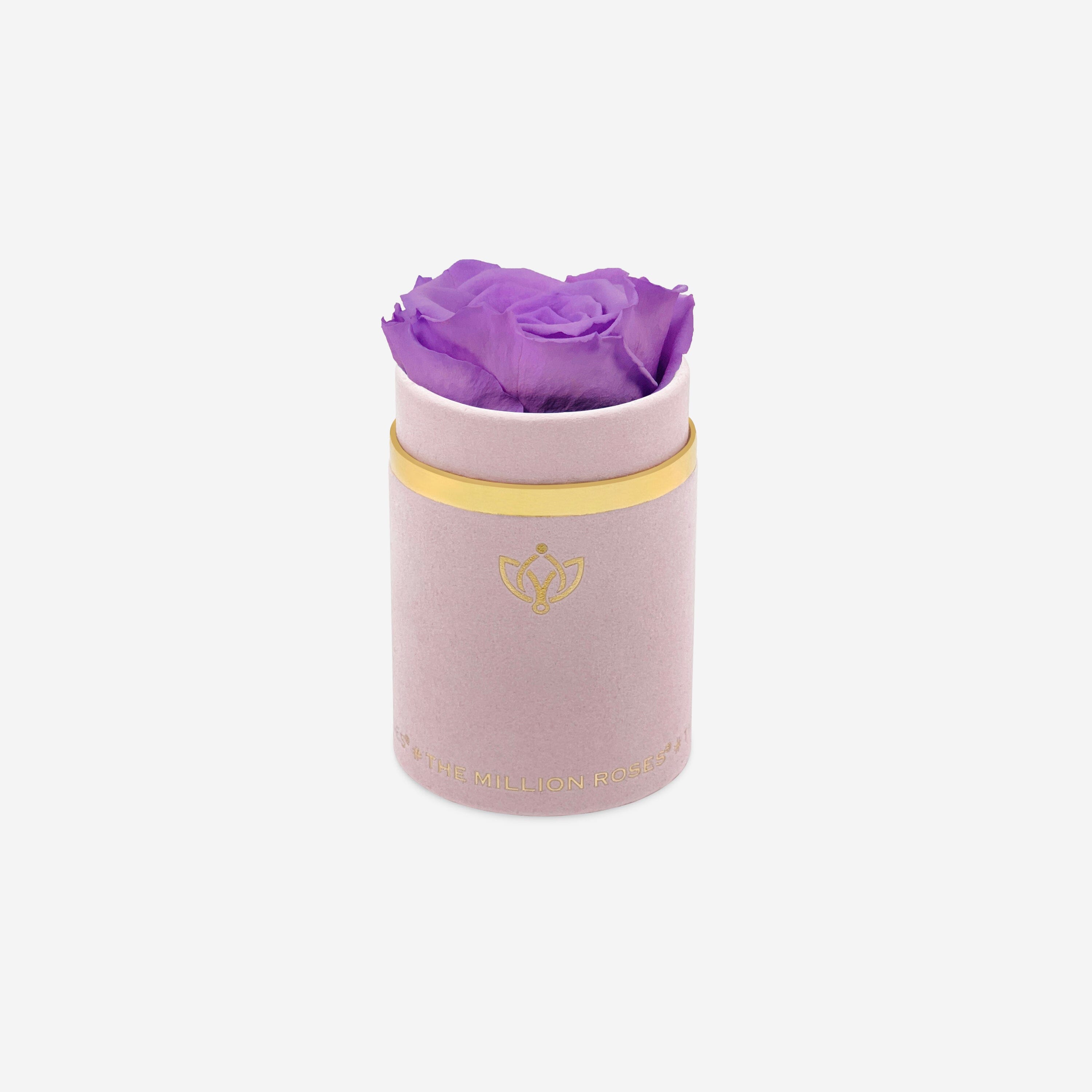 Single Light Pink Suede Box | Lavender Rose - The Million Roses