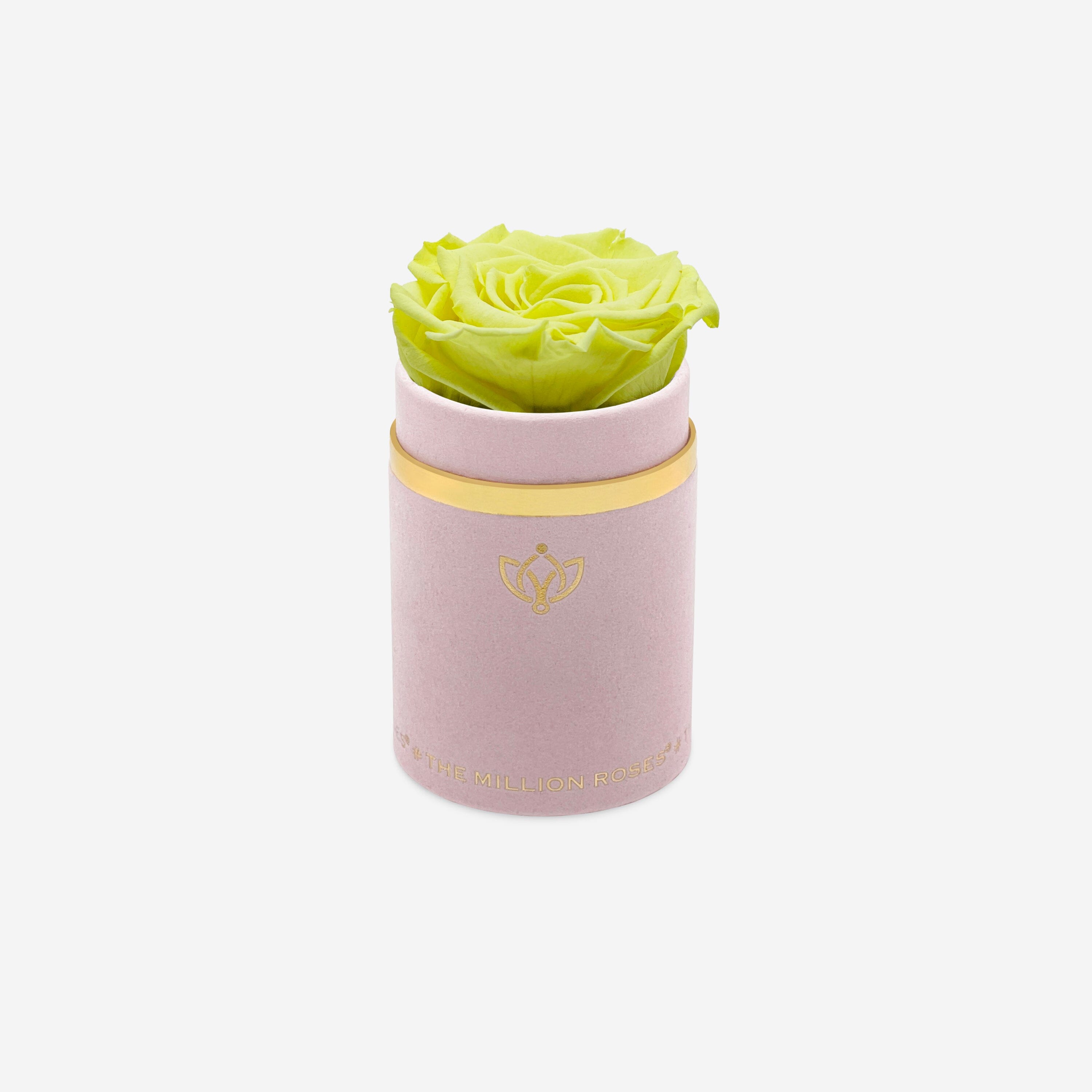 Single Light Pink Suede Box | Canary Yellow Rose - The Million Roses