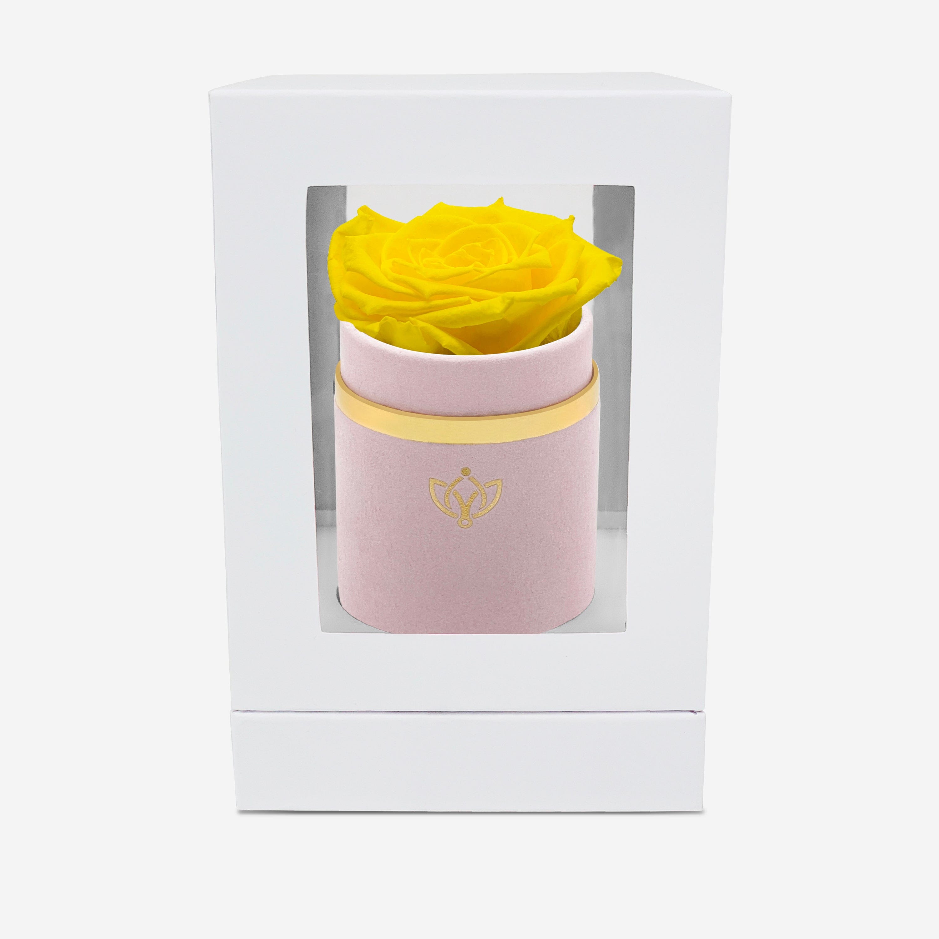 Single Light Pink Suede Box | Yellow Rose - The Million Roses