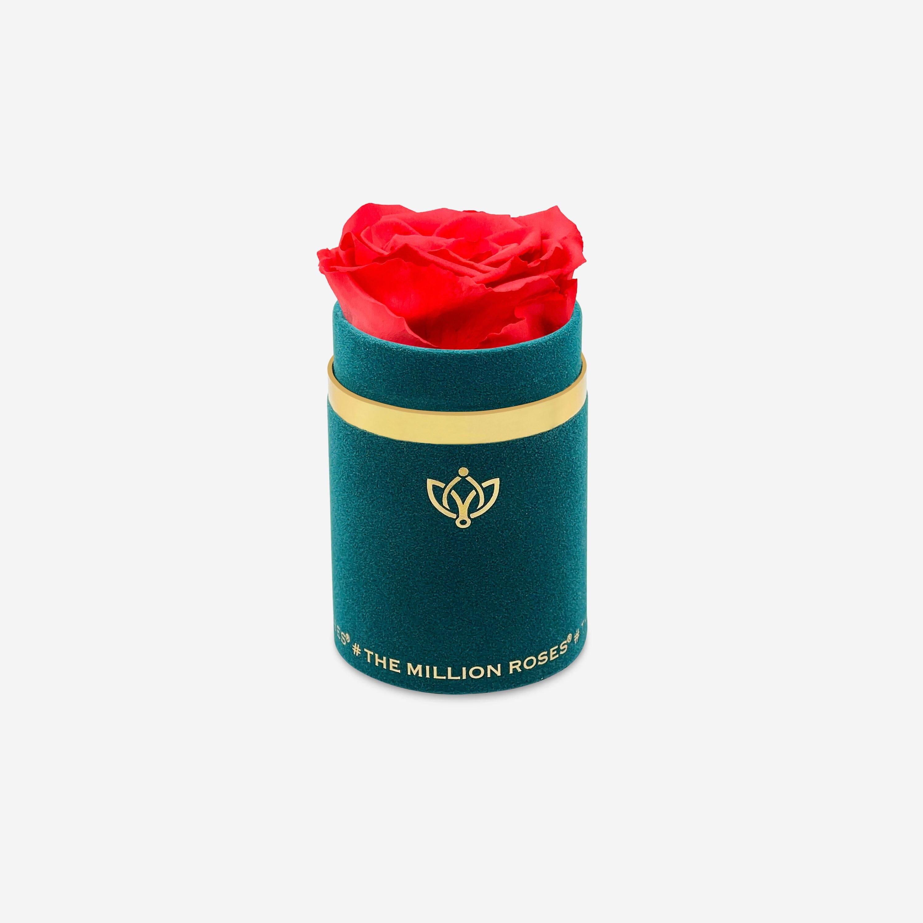 Single Dark Green Suede Box | Coral Rose - The Million Roses