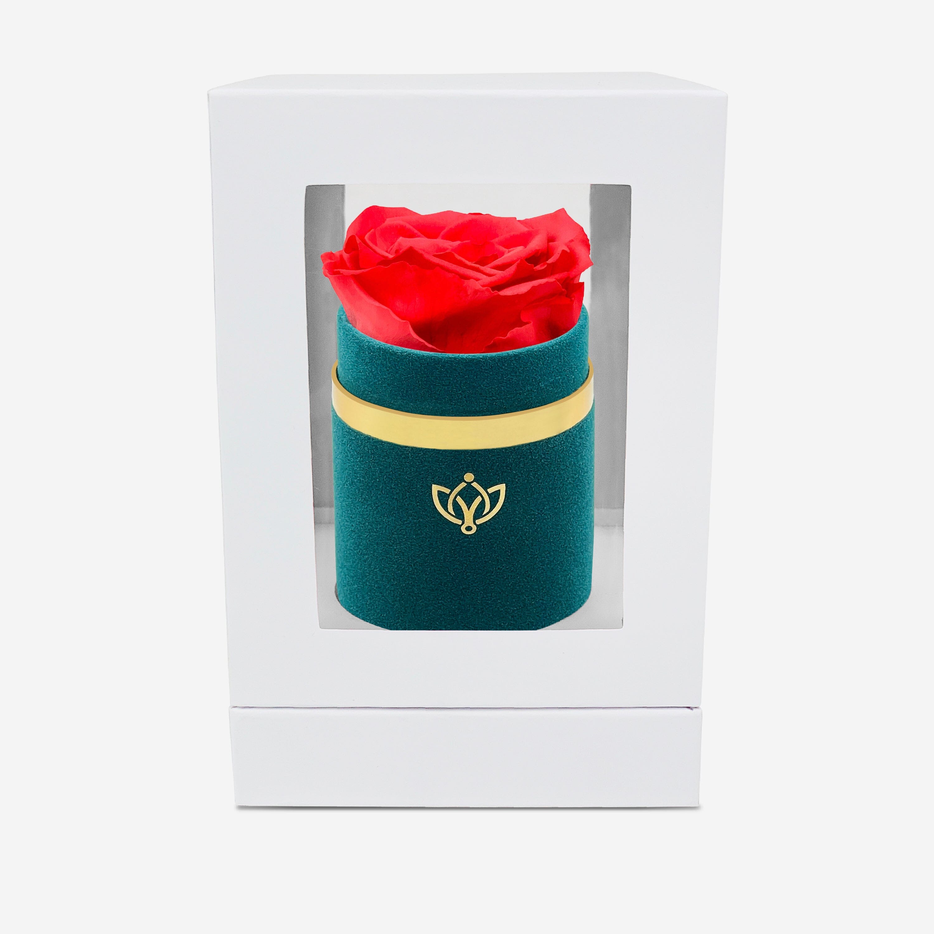 Single Dark Green Suede Box | Coral Rose - The Million Roses