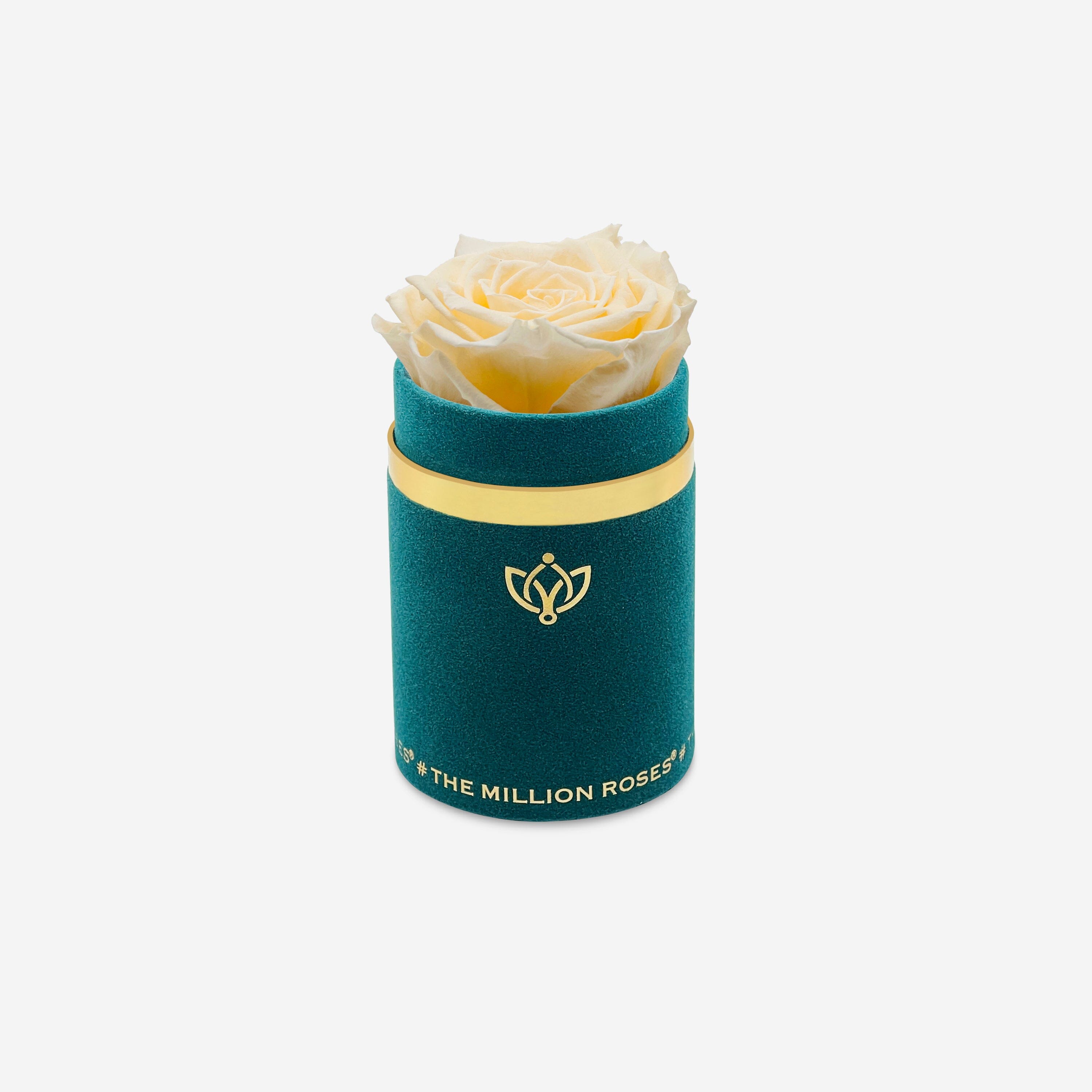 Single Dark Green Suede Box | Ivory Rose - The Million Roses