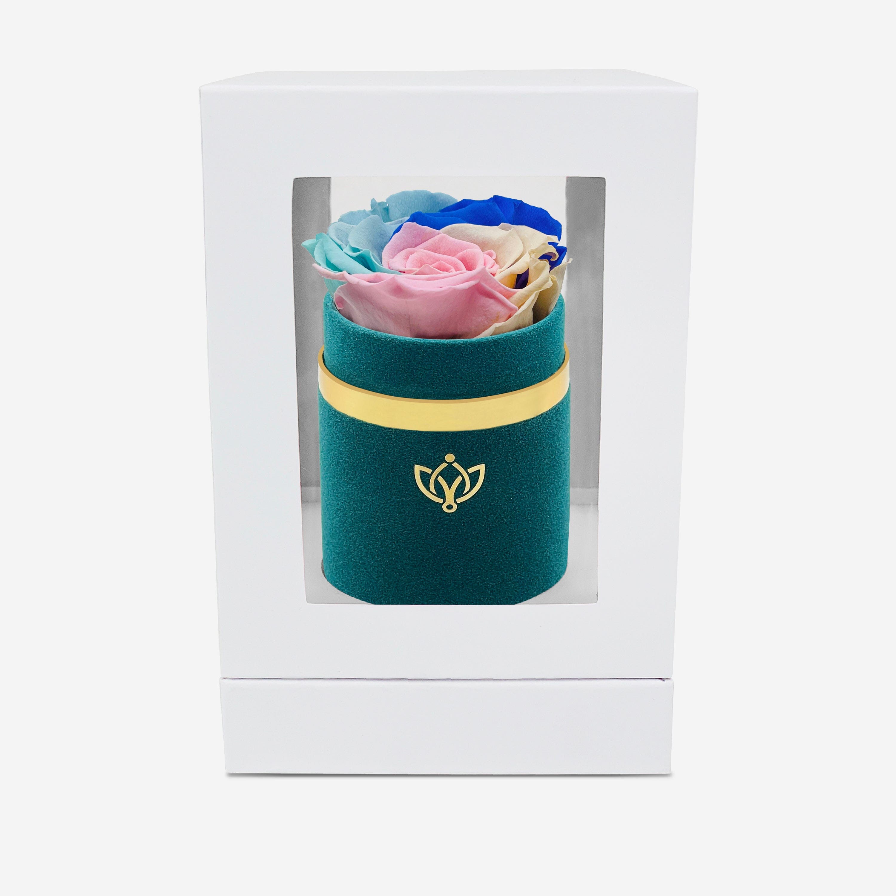 Single Dark Green Suede Box | Pastel Rainbow Rose - The Million Roses