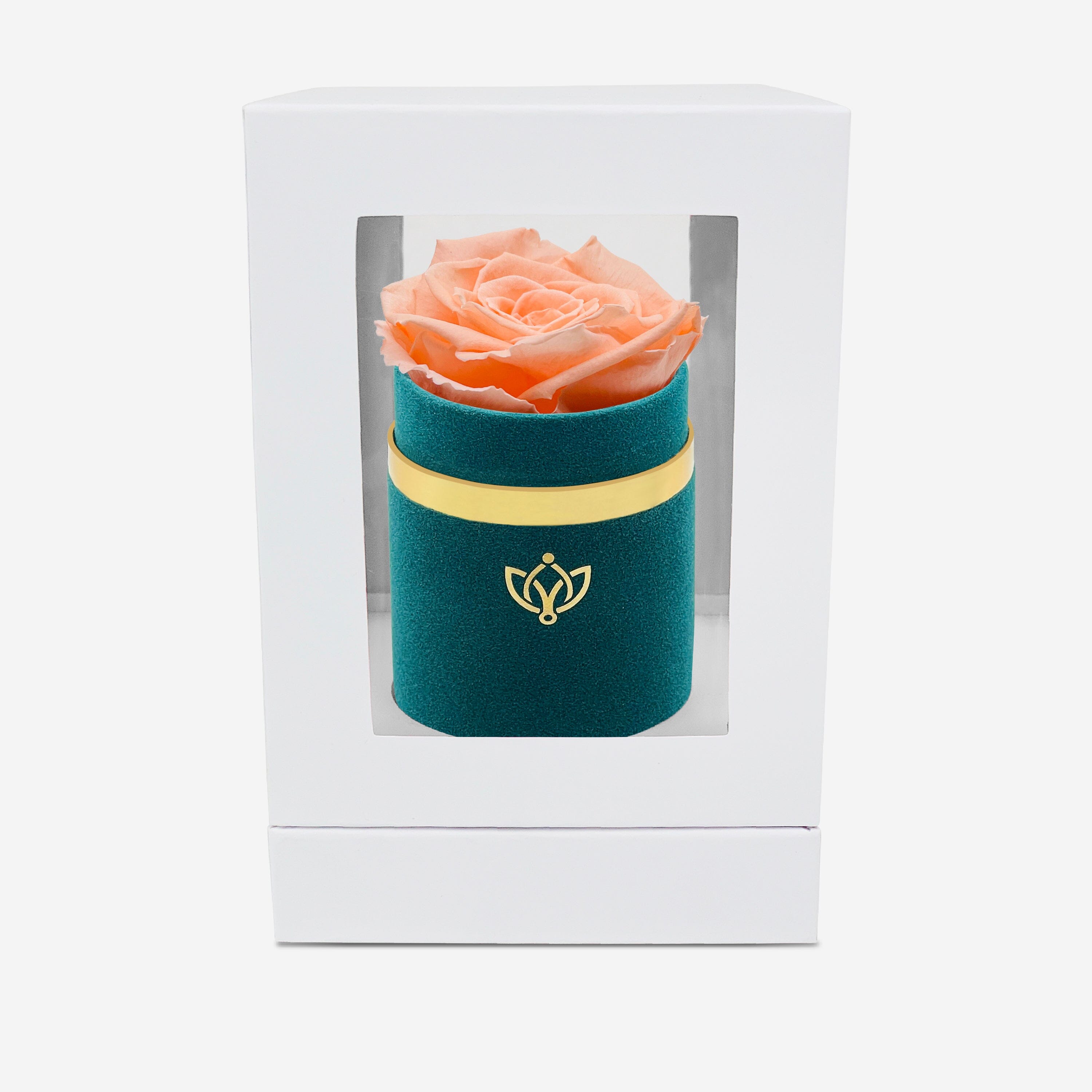 Single Dark Green Suede Box | Peach Rose - The Million Roses