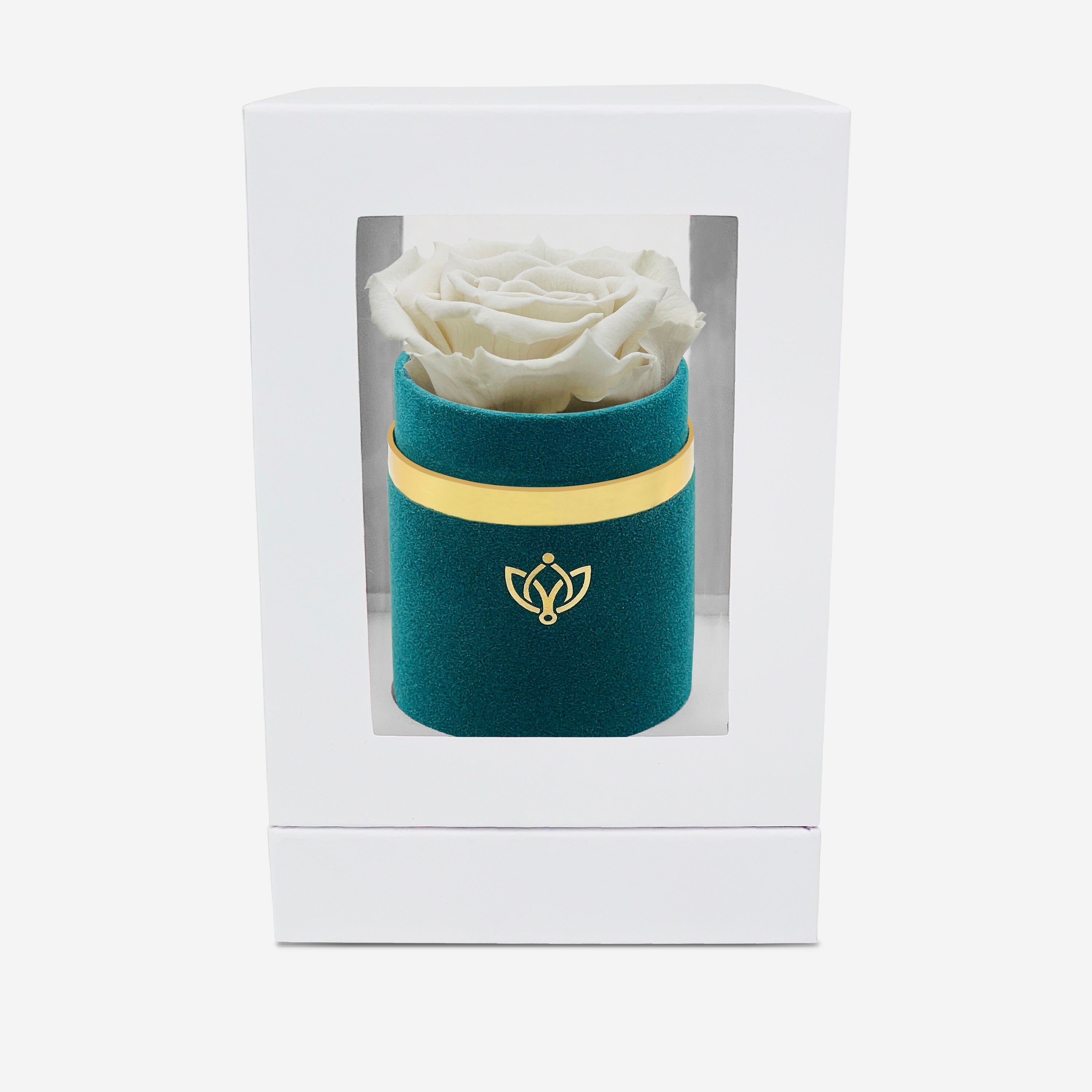 Single Dark Green Suede Box | Off White Rose - The Million Roses