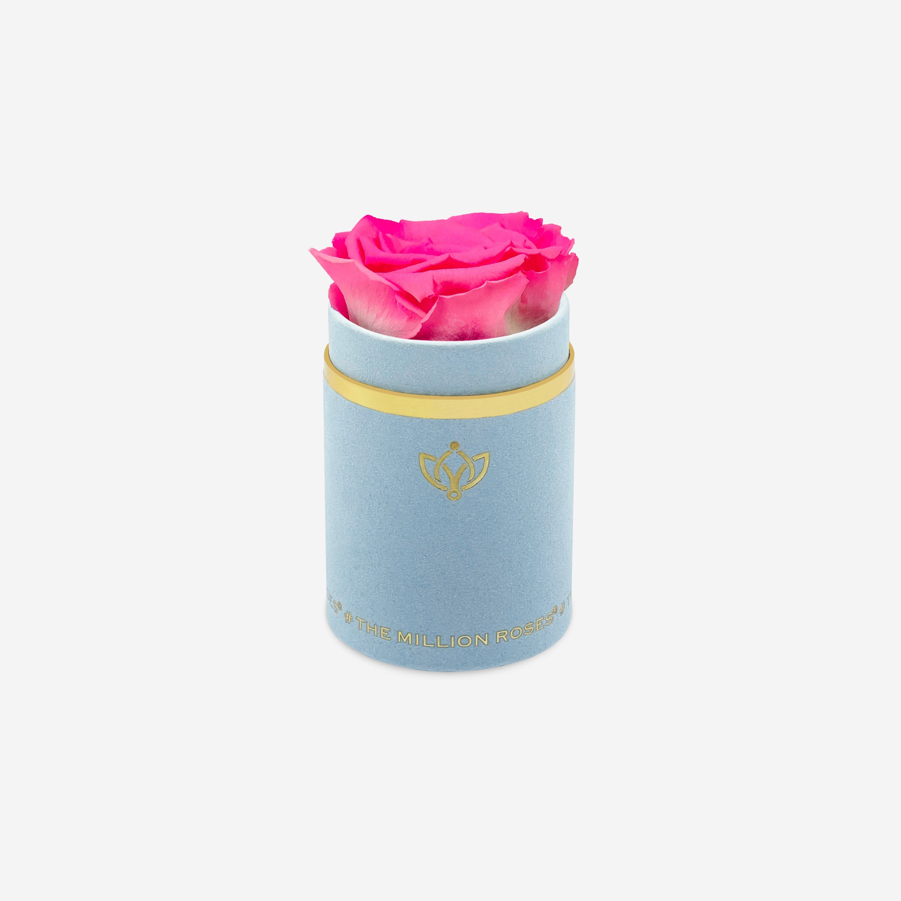 Single Light Blue Suede Box | Candy Pink Rose - The Million Roses