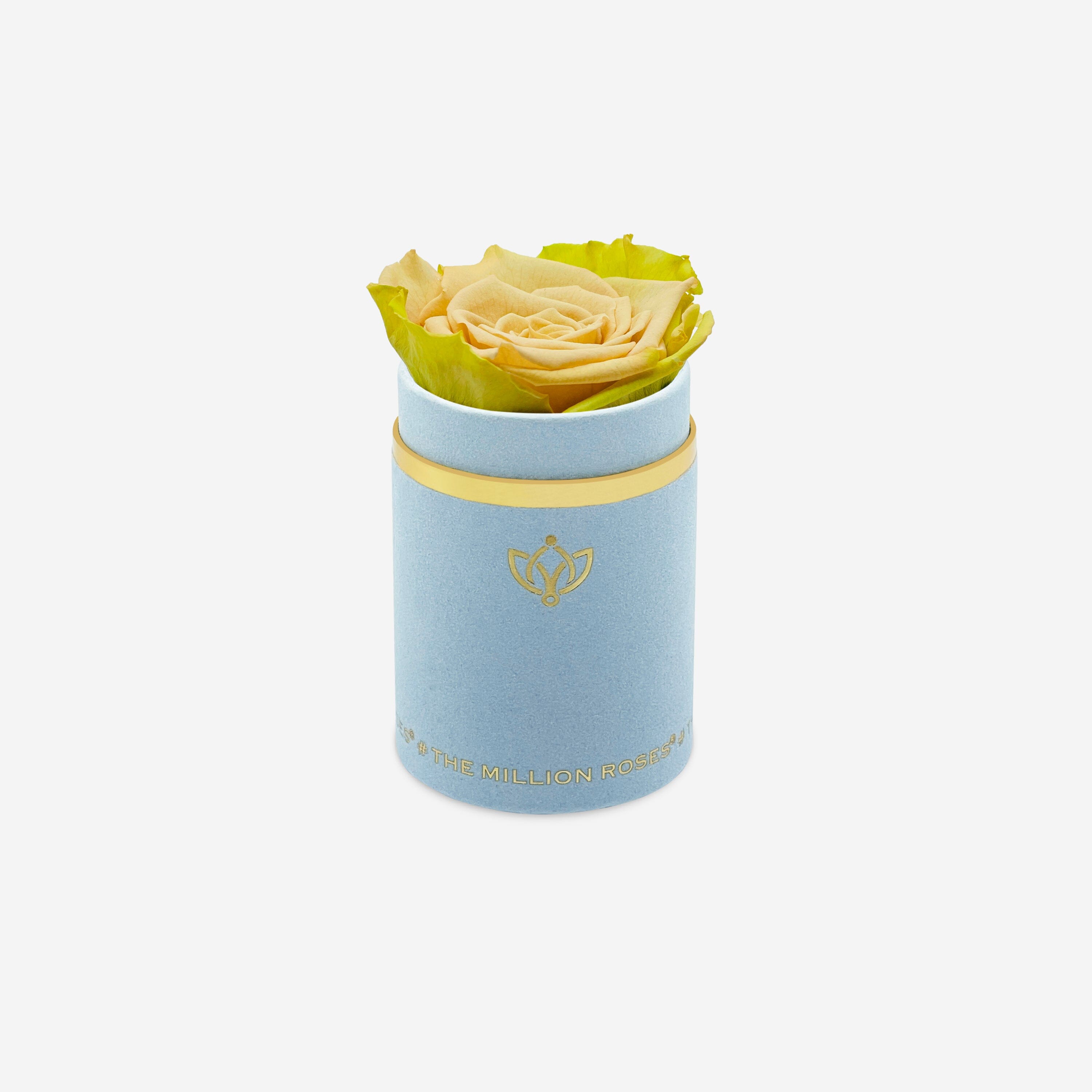 Single Light Blue Suede Box | Fawn Bicolor Rose - The Million Roses