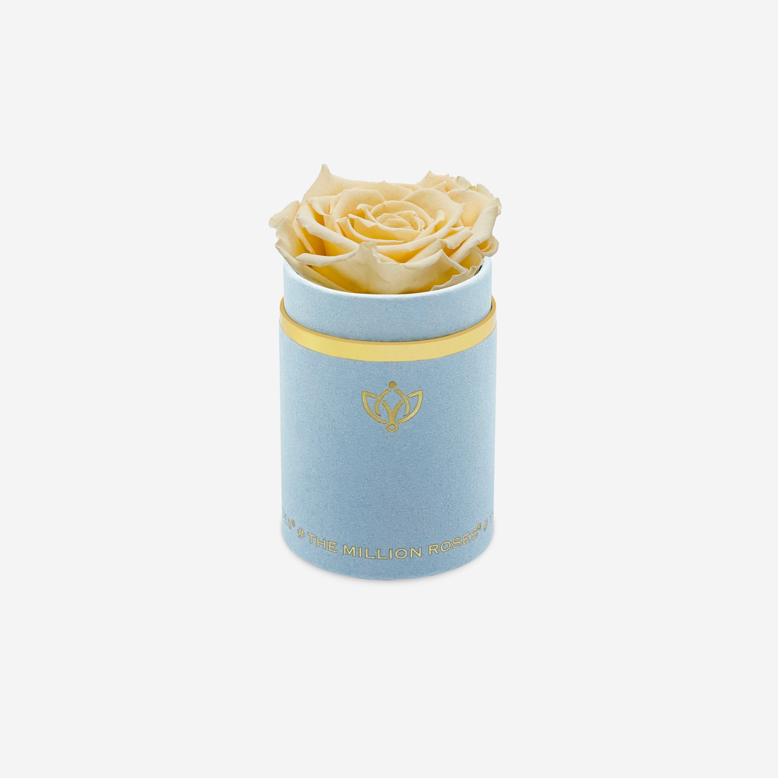 Single Light Blue Suede Box | Fawn Rose - The Million Roses