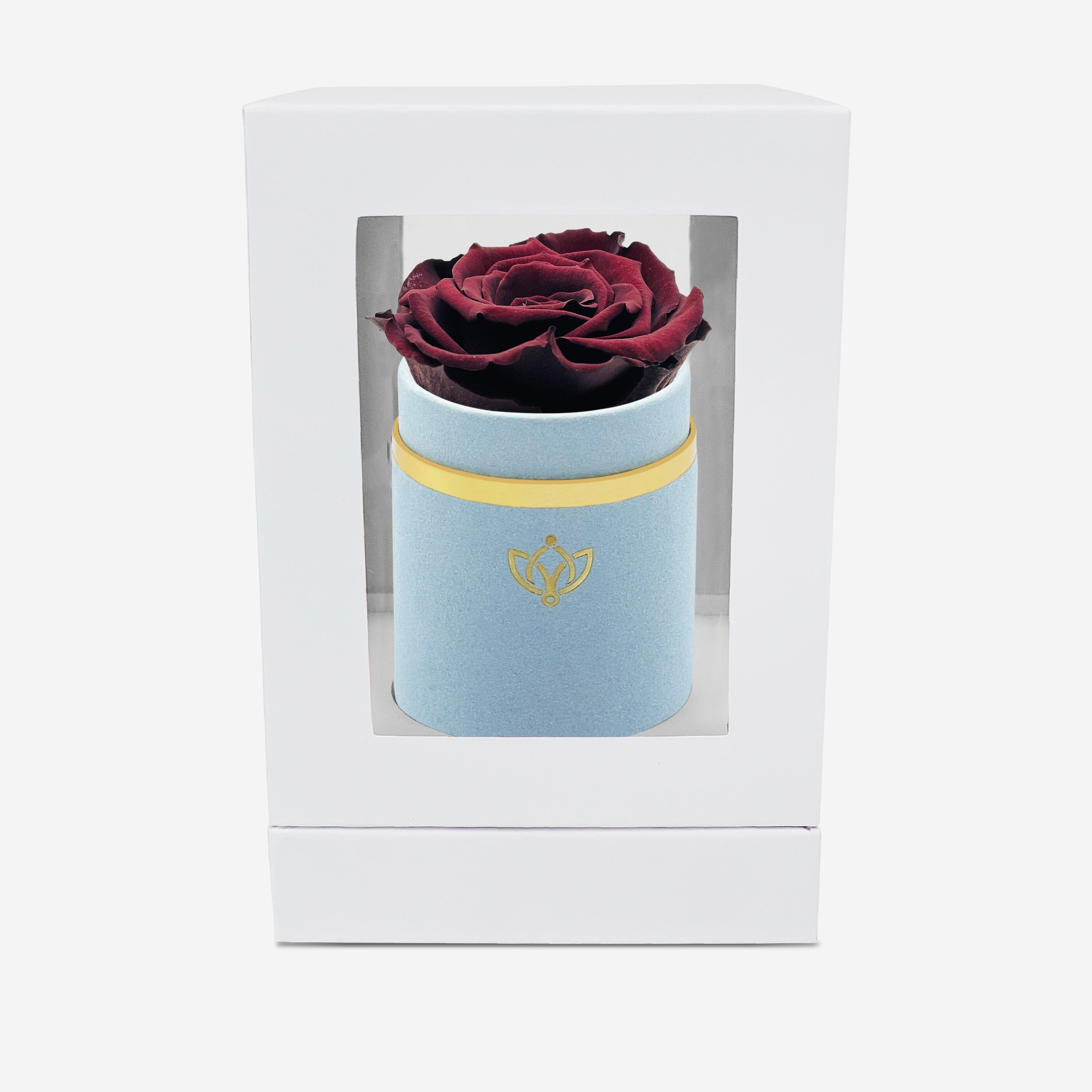 Single Light Blue Suede Box | Mahogany Rose - The Million Roses