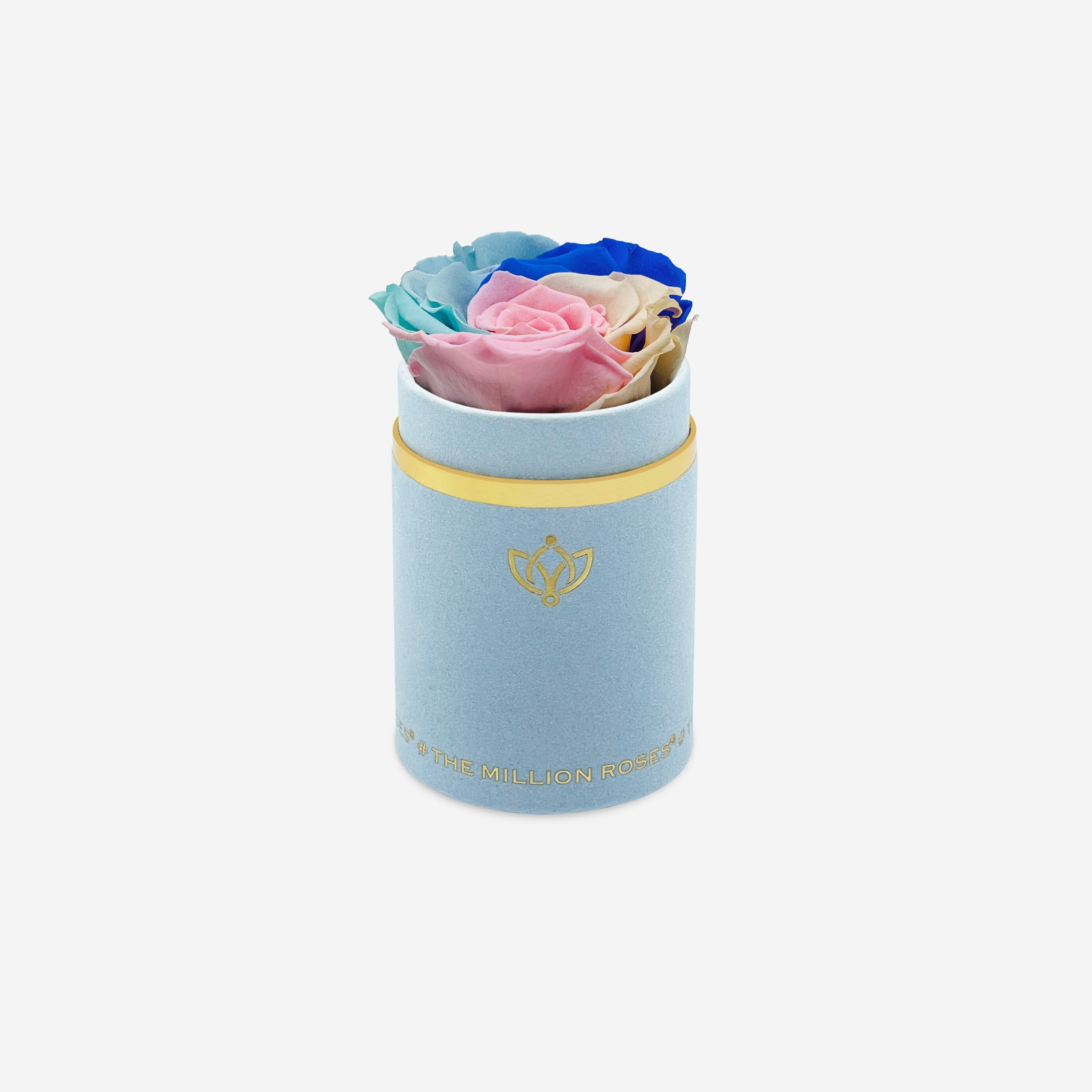 Single Light Blue Suede Box | Pastel Rainbow Rose - The Million Roses