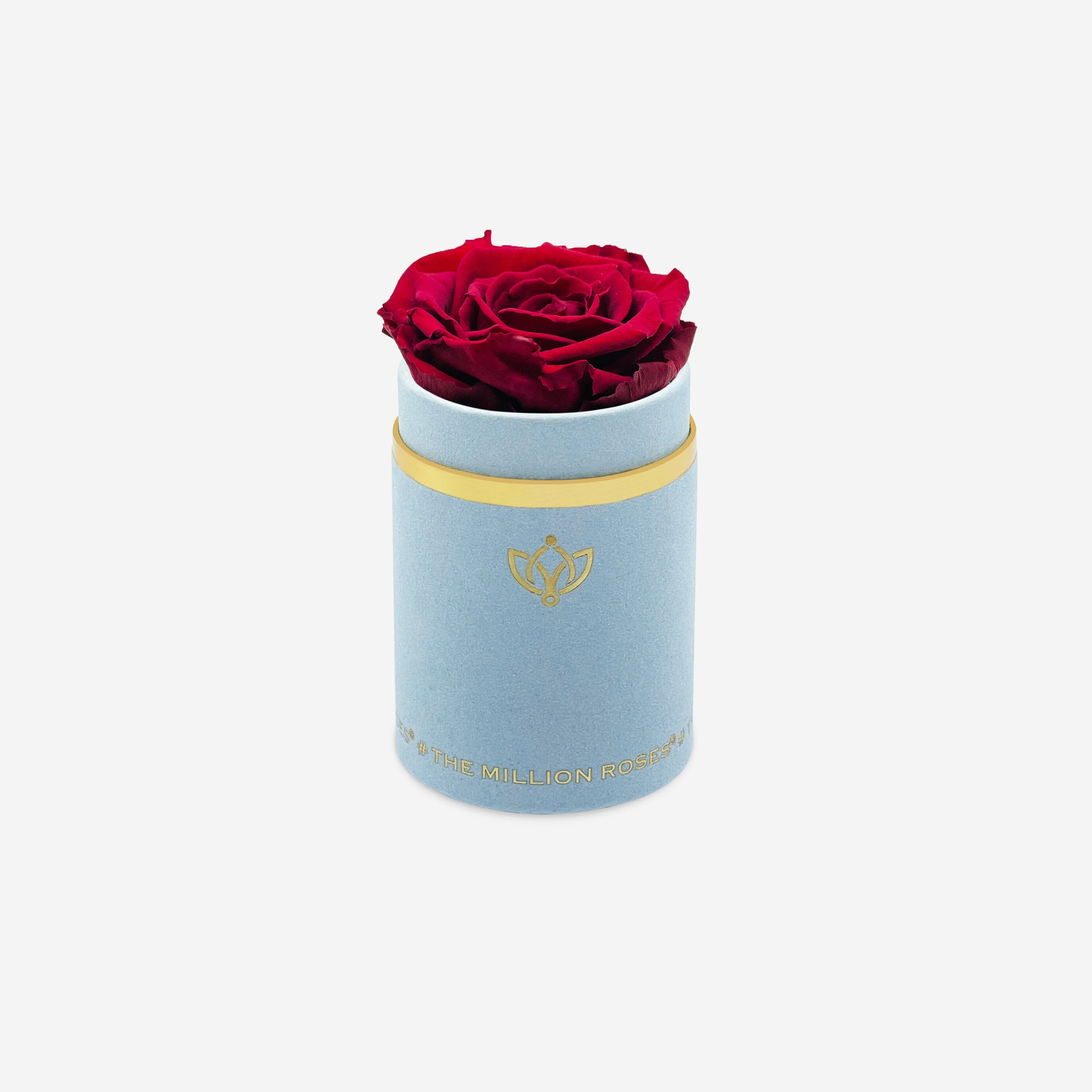 Single Light Blue Suede Box | Burgundy Rose - The Million Roses