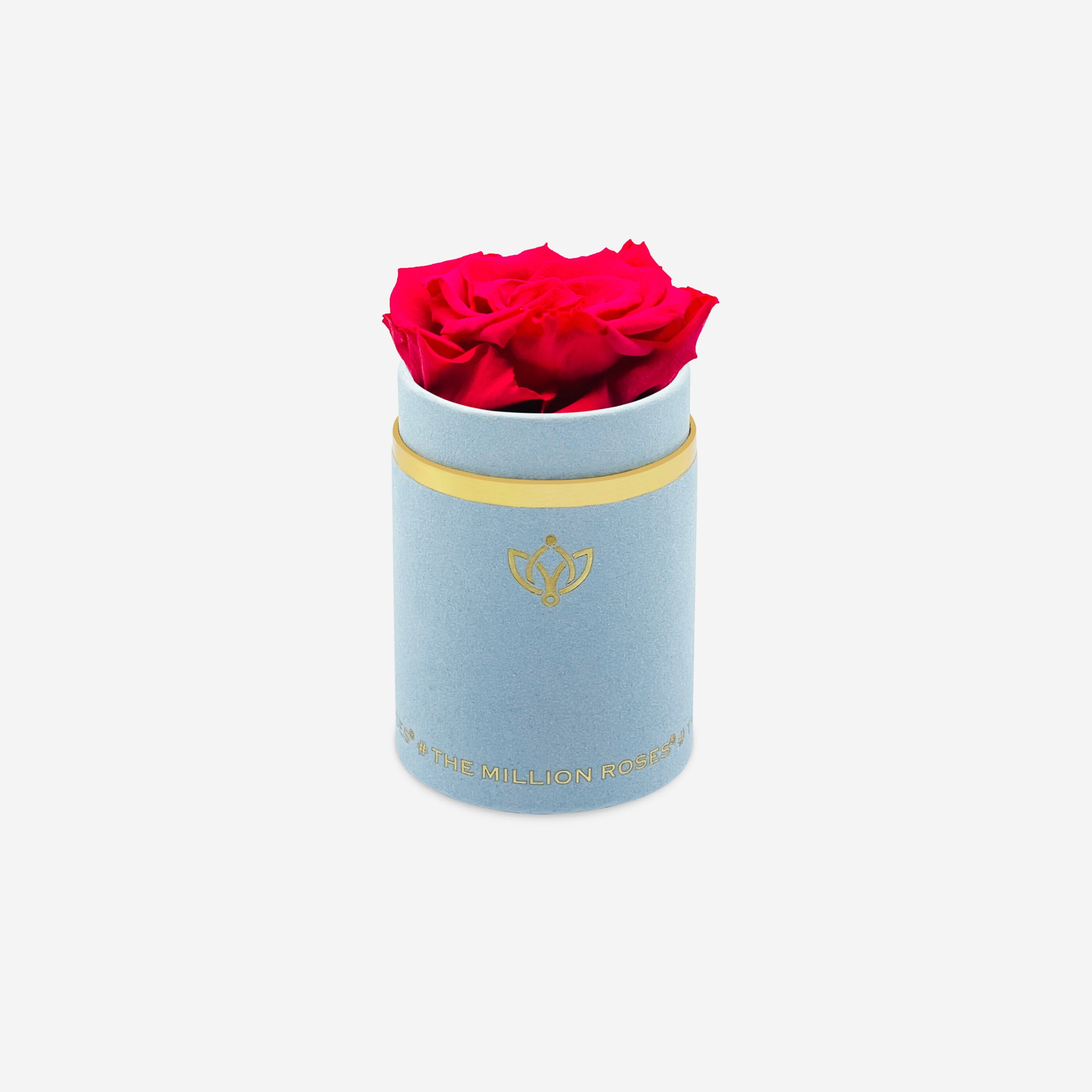 Single Light Blue Suede Box | Hot Pink Rose - The Million Roses