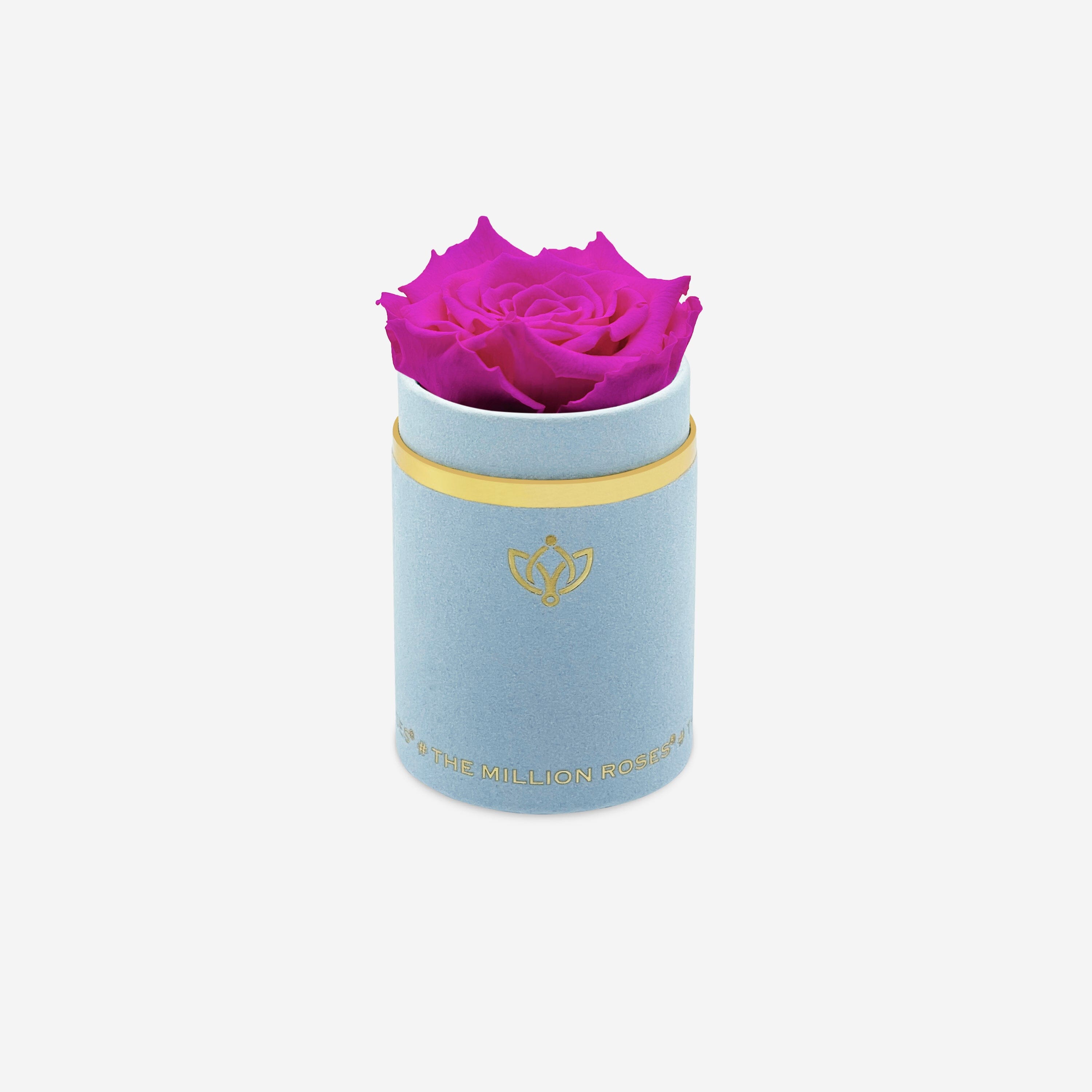 Single Light Blue Suede Box | Neon Pink Rose - The Million Roses