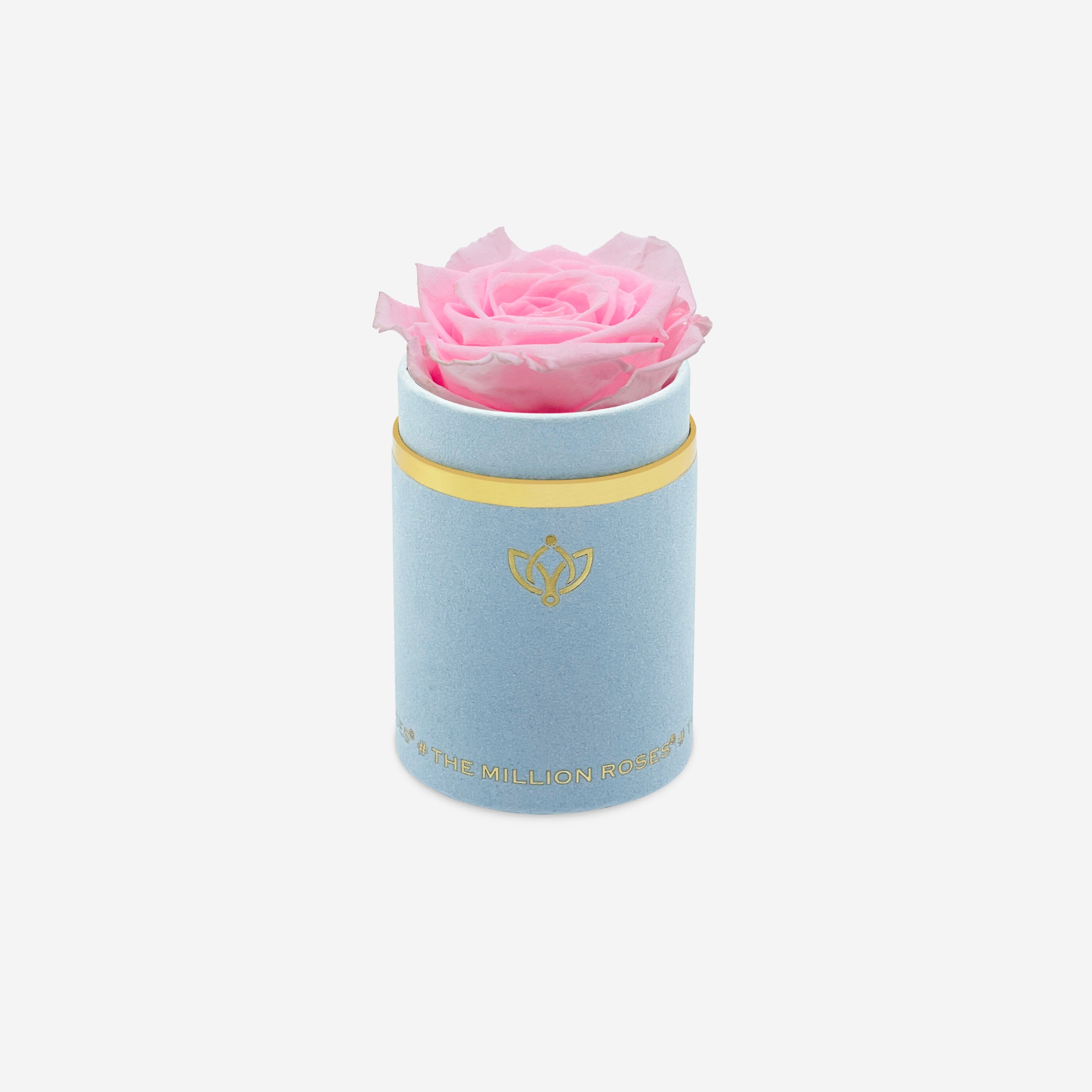 Single Light Blue Suede Box | Pink Lace Rose - The Million Roses