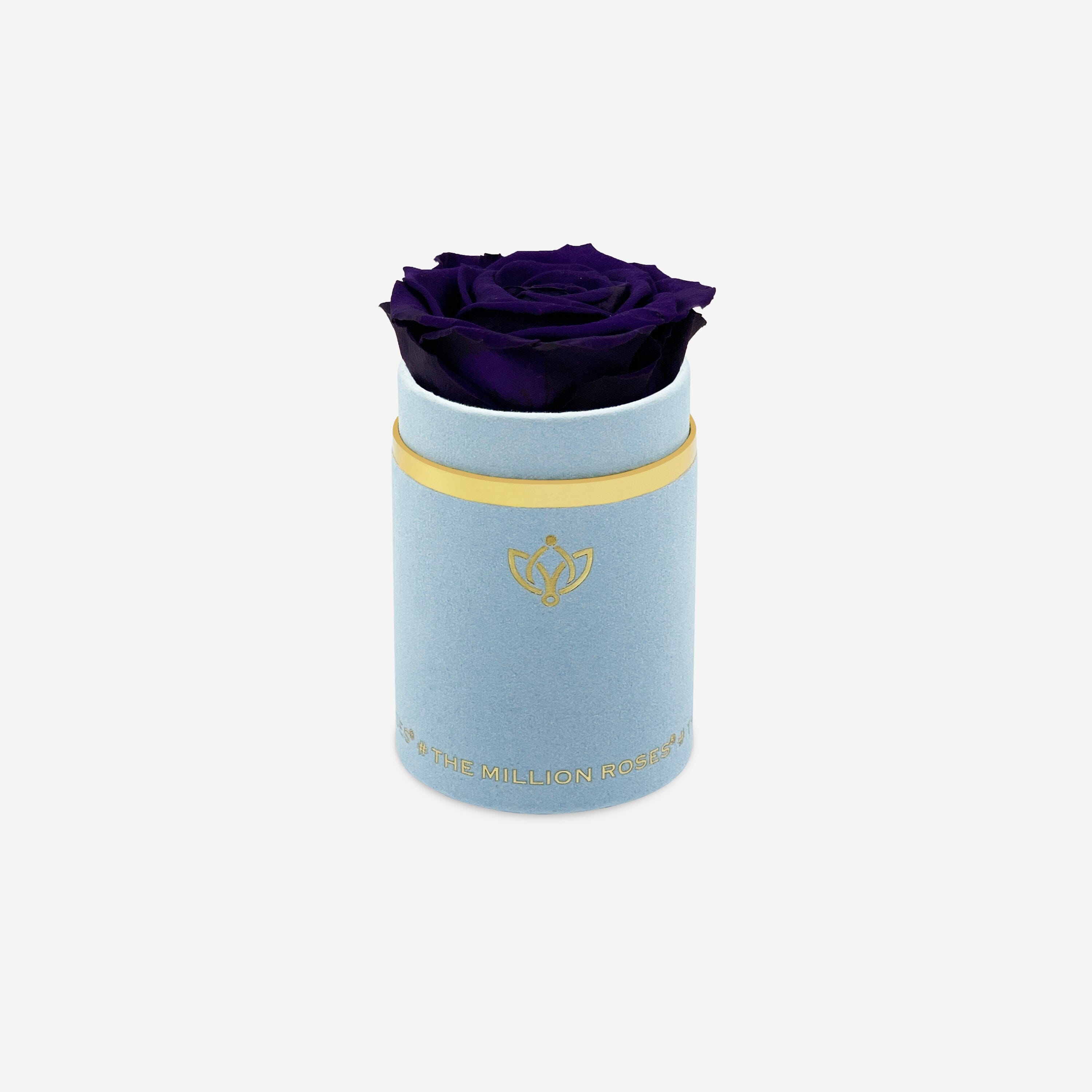 Single Light Blue Suede Box | Dark Purple Rose - The Million Roses